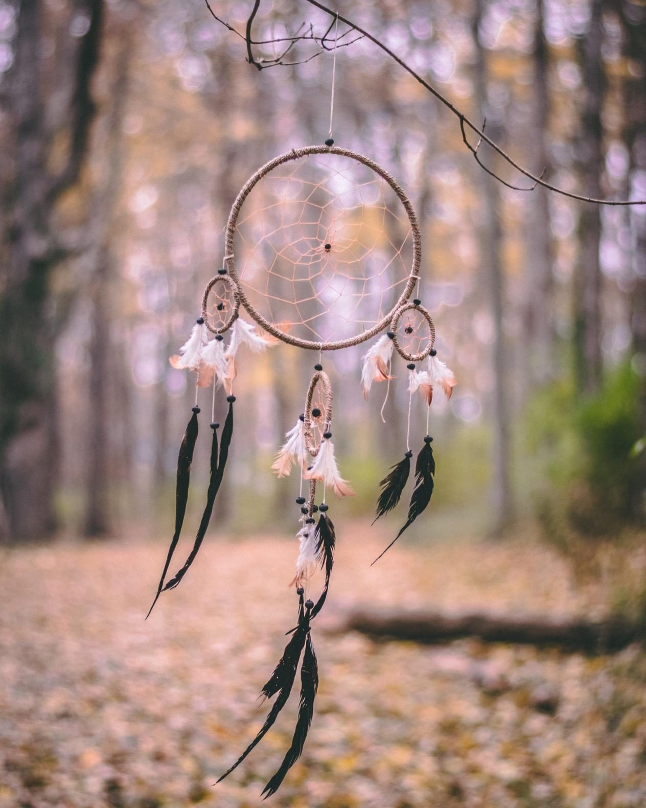 Nikon D5600 DX-Format Digital SLR w/AF-P DX NIKKOR 18-55mm f/3.5-5.6G VR customer photo 2