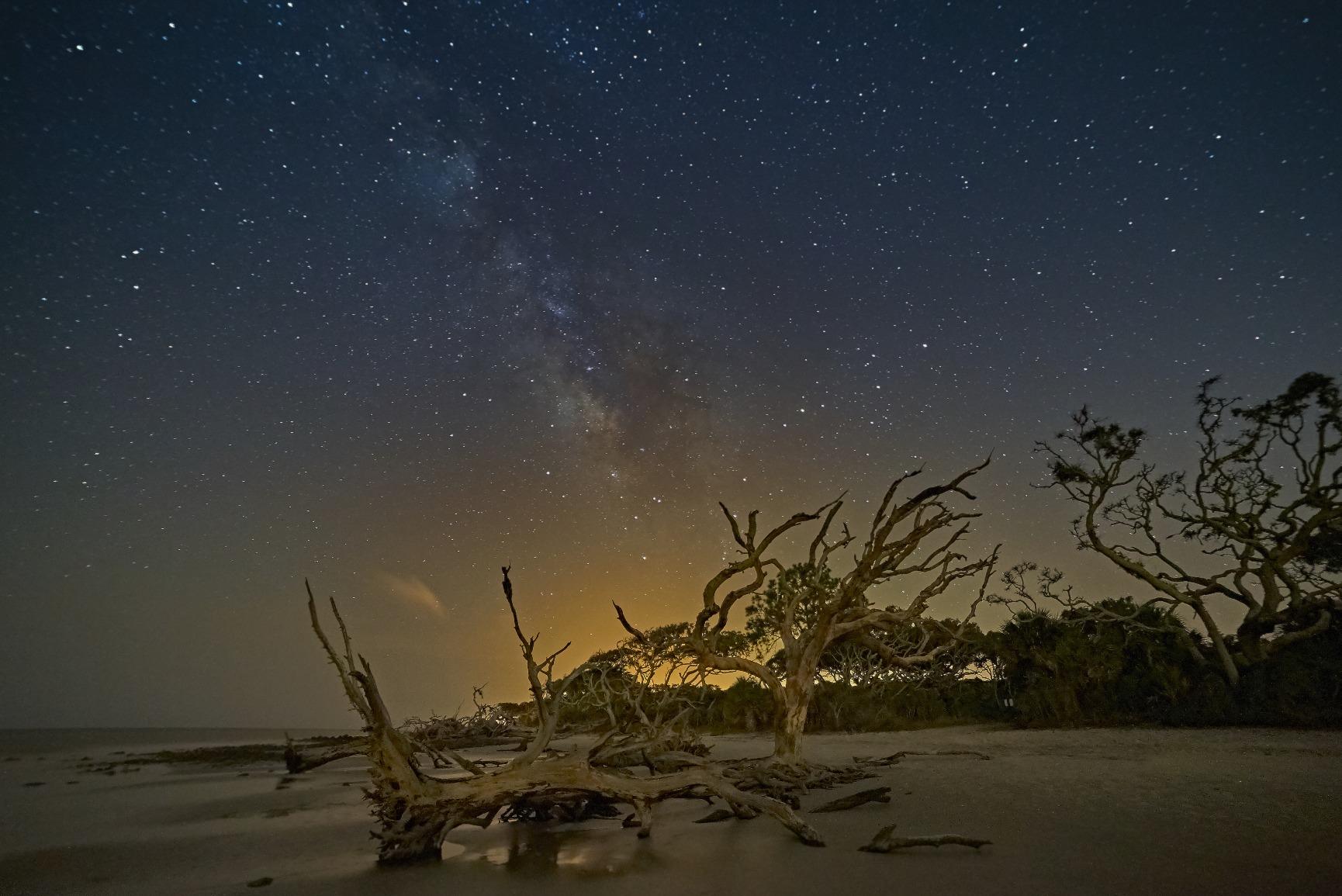 Capture One Pro 10 Photo Editing Software | Single User, 1 Seats | Mac [Download] customer photo 1