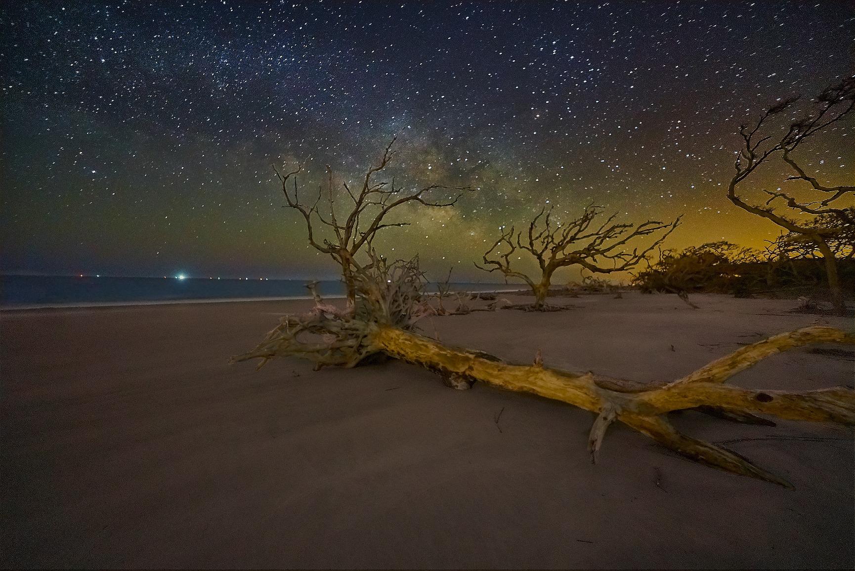 Capture One Pro 10 Photo Editing Software | Single User, 1 Seats | Mac [Download] customer photo 2