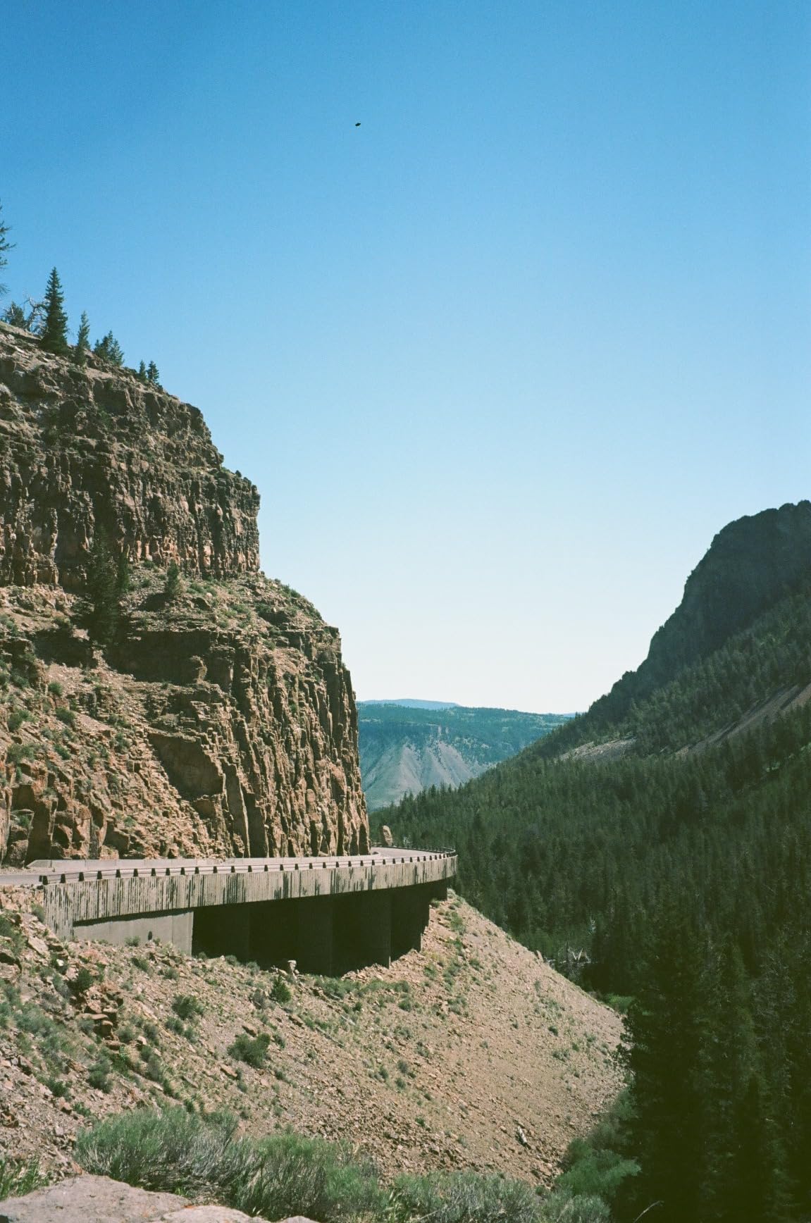 Kodak Ektar 100 Professional ISO 100, 35mm, 36 Exposures, Color Negative Film (Pack of 2) customer photo 2