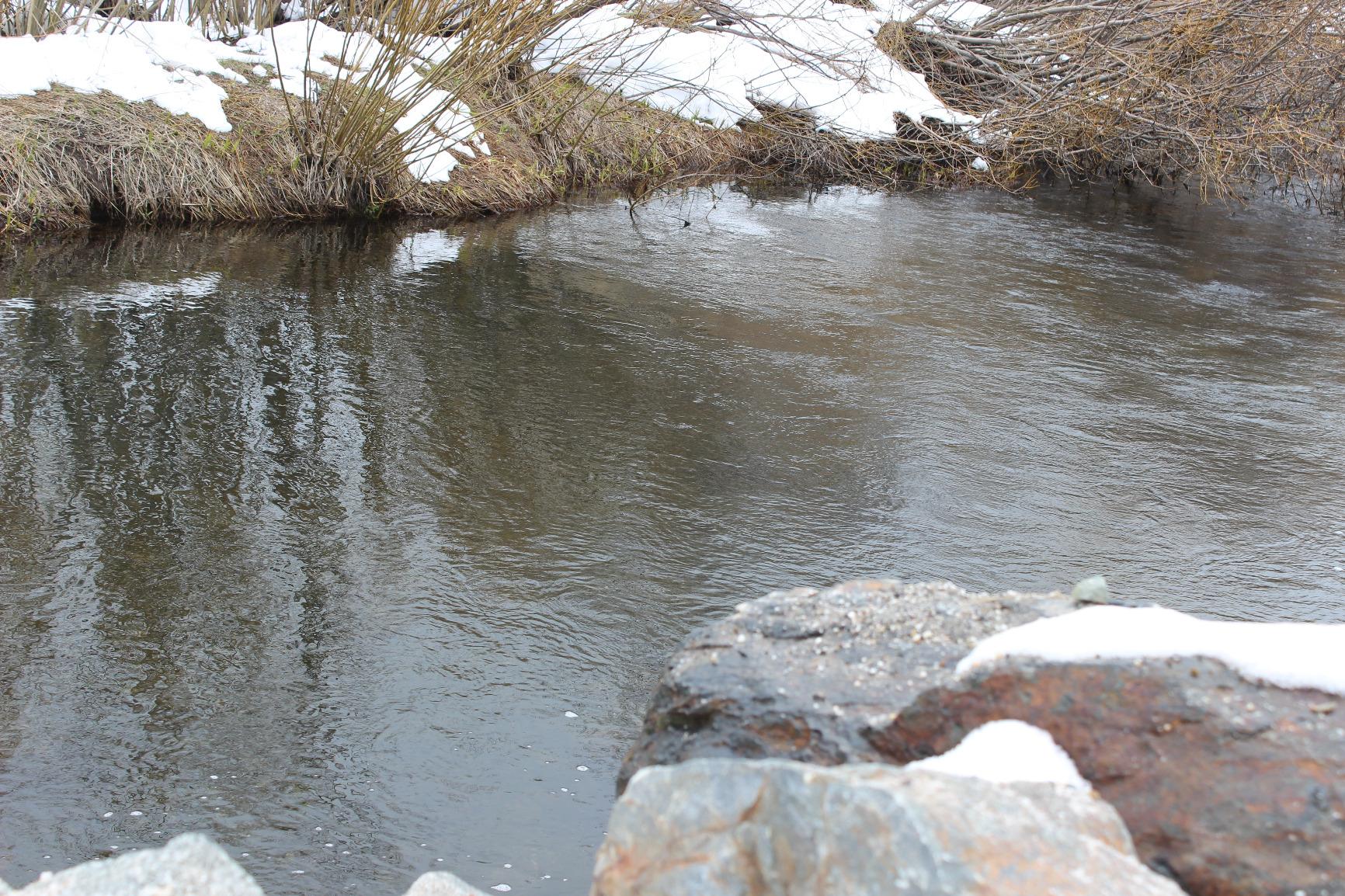 NEEWER Fixed ND Filter Kit 58mm ND2 ND4 ND8 ND16 Neutral Density Filter and Accessory Kit, Lens Pen, Filter Pouch Included customer photo 2