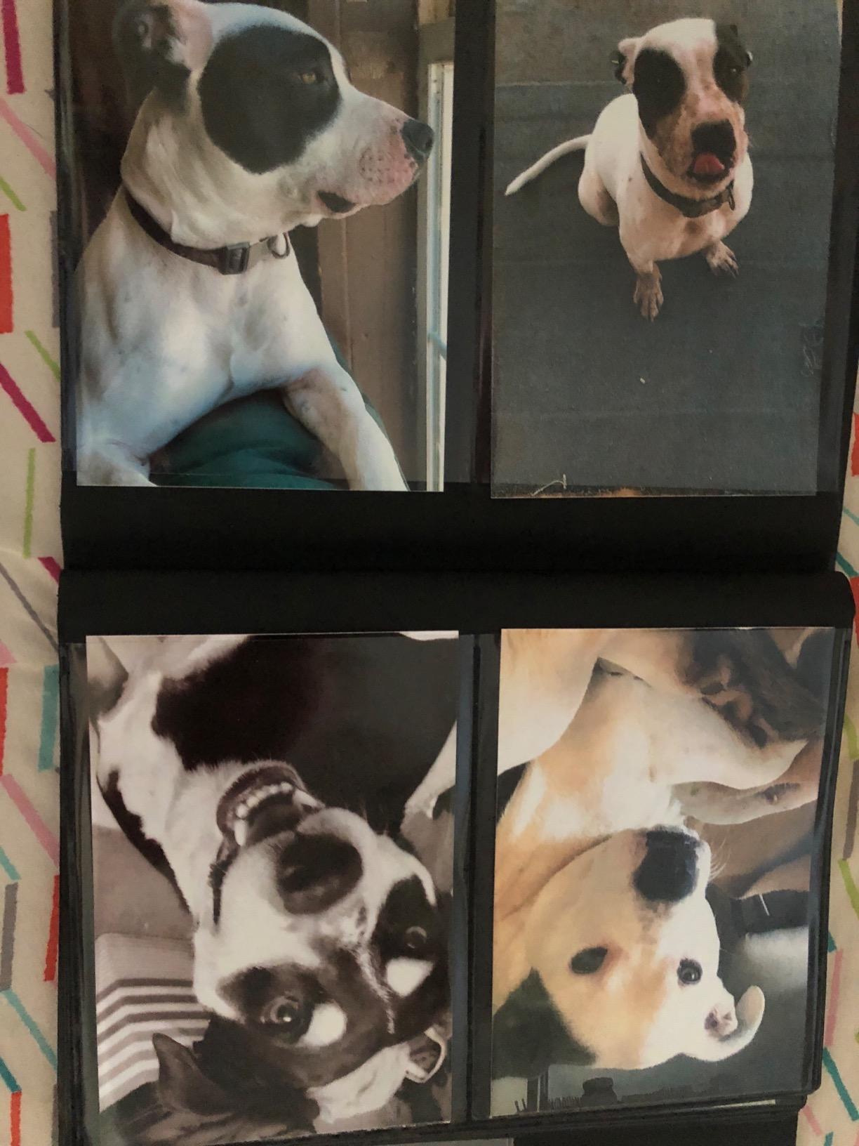 Kodak Dock & Wi-Fi Portable 4x6