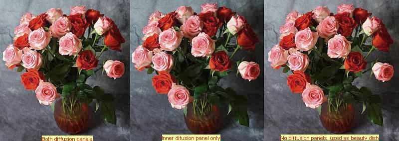 Neewer 60 cm Octagonal Softbox and Beauty Dish Photo Studio Combination with Bowens Speedring for Portrait, Product Photography and Video Shooting customer photo 1