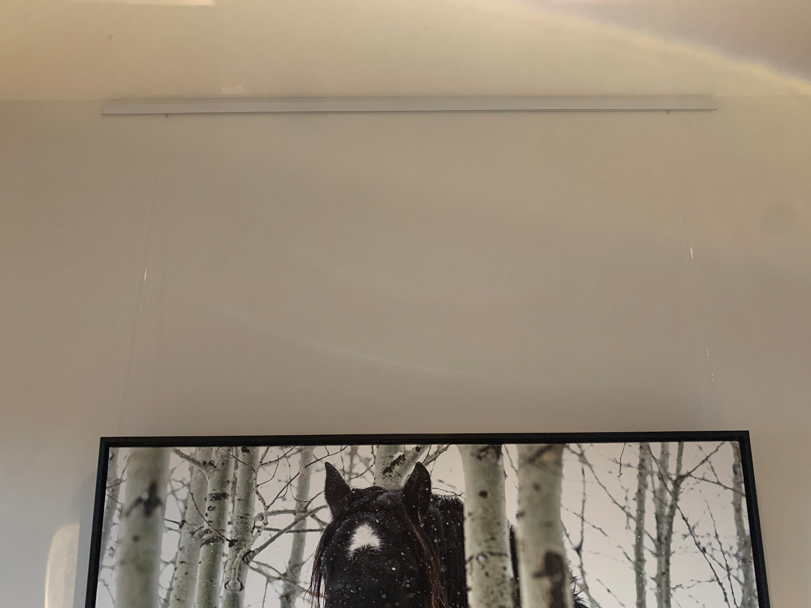 STAS Cliprail Pro Picture Hanging System Set - Covers 19.69 ft of Wall Space - Heavy Duty Picture Rail & Art Hanging Gallery Kit Without Nails - Home or Museum (Matte Silver Rails, 8 Hooks & Cords) customer photo 2