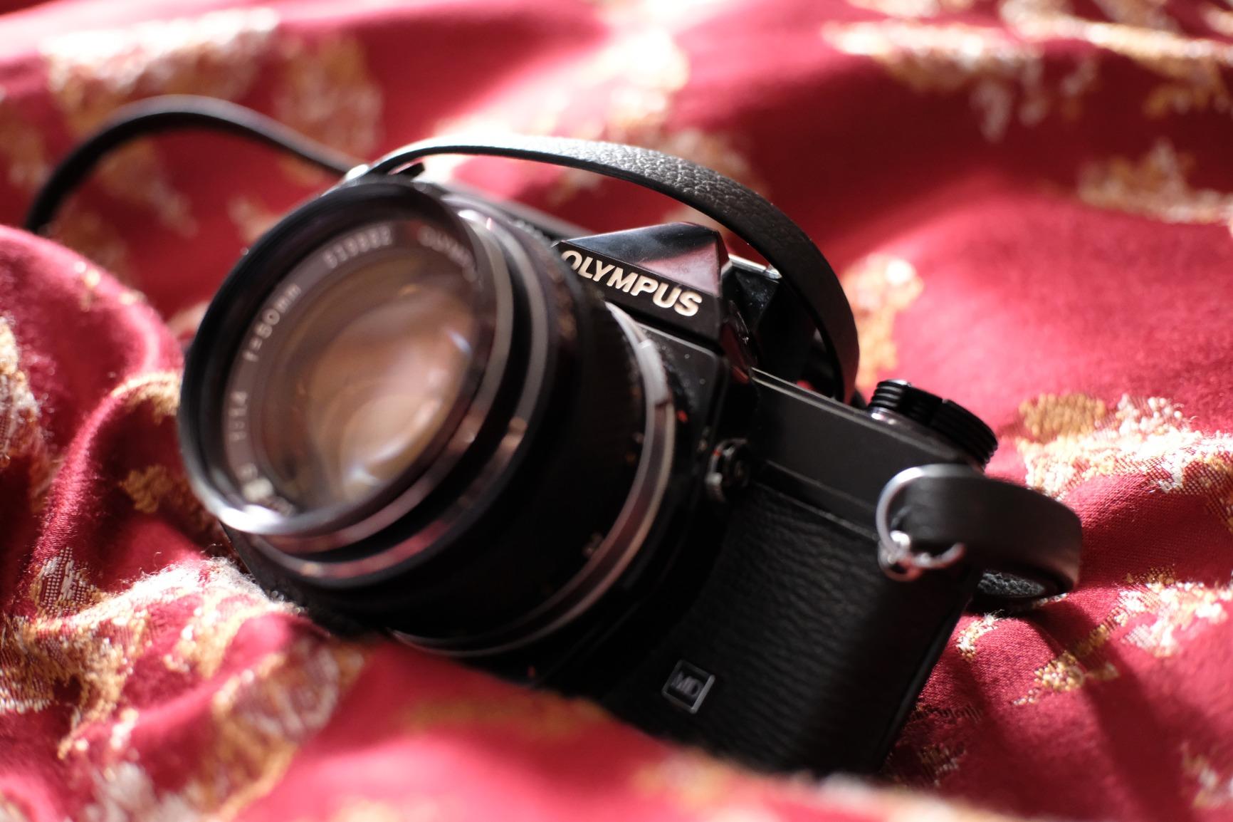 25mm F1.8 APS-C Format Portrait Lens Compatible with Sony E-Mount A6500 A6300 A6000 A5100 A5000 customer photo 1