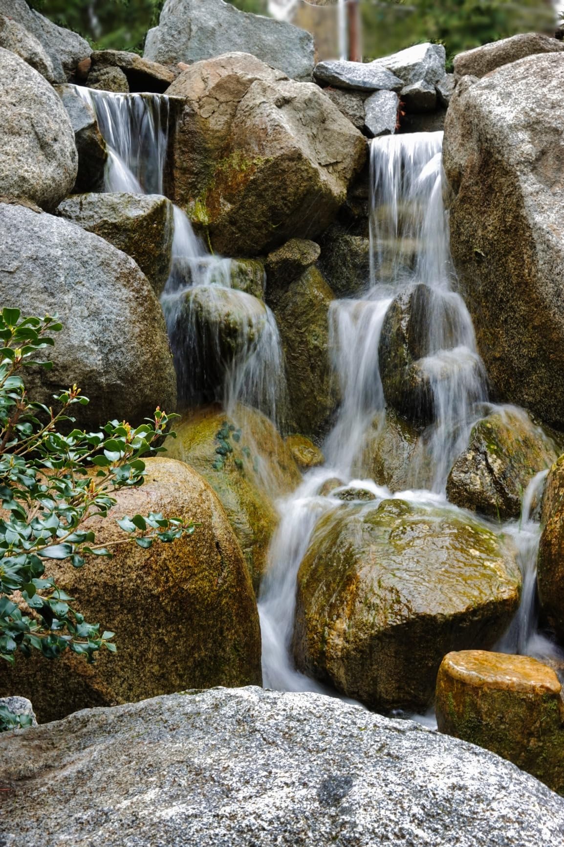 Sony Cyber-Shot RX10 IV with 0.03 Second Auto-Focus & 25x Optical Zoom (DSC-RX10M4), Black customer photo 1