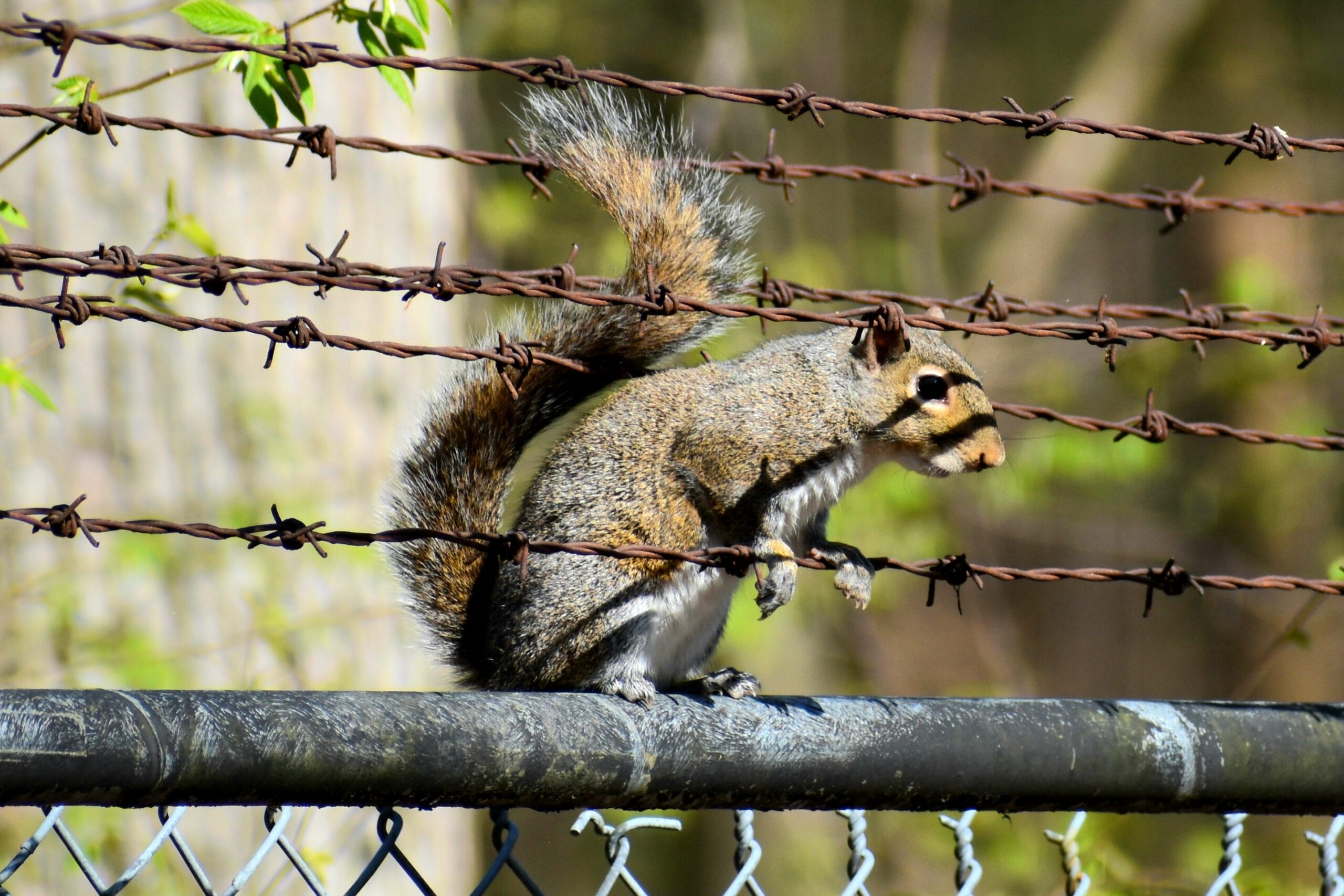 Nikon D5600 Digital SLR Camera and 18-55mm VR DX AF-P Lens - (Renewed) customer photo 1