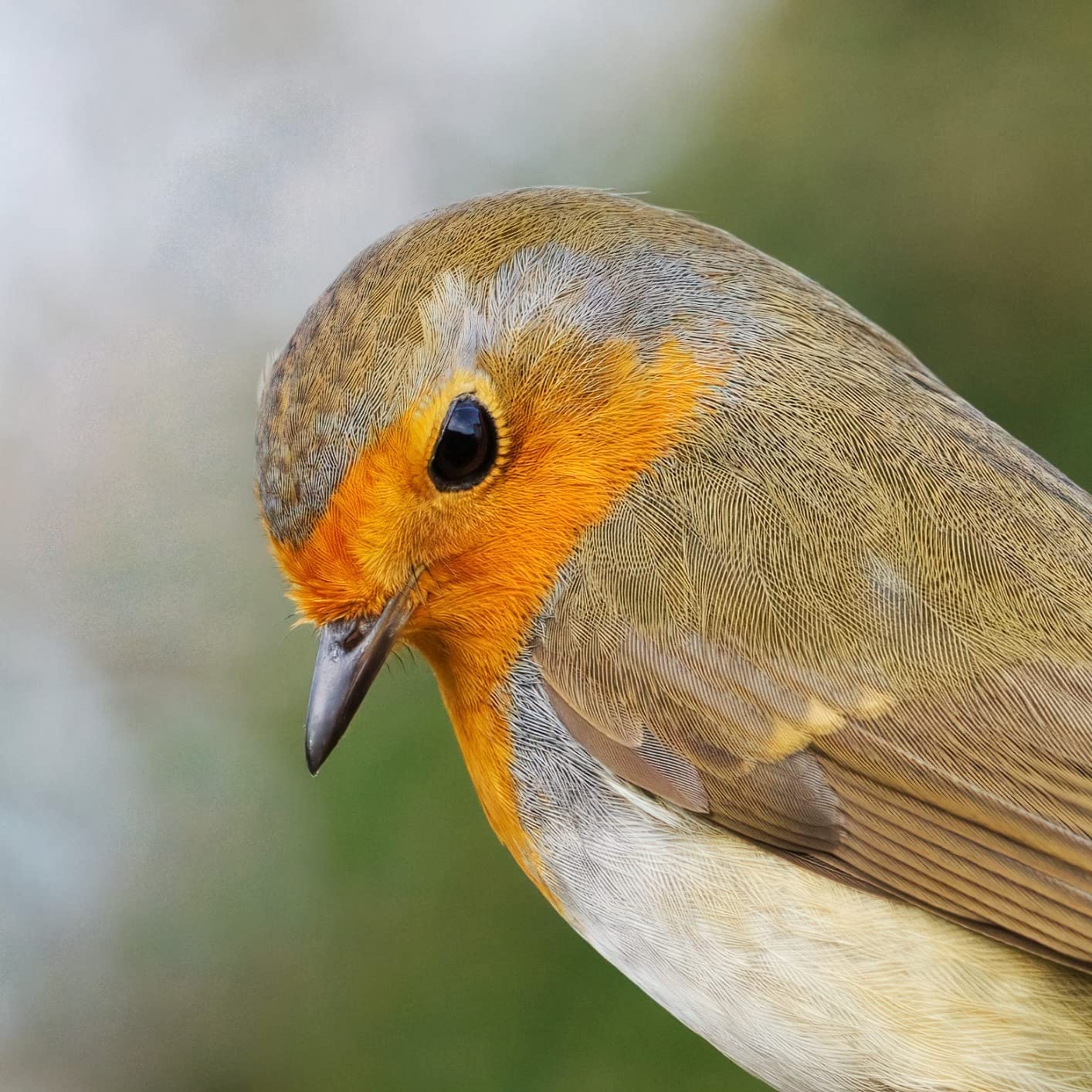 Pixel TW283-S1 Wireless Remote Trigger Timer Intervalometer Compatible with Sony a100 a200 a300 a350 a400 a450 a500 a550 a560 a580 a700 a850 a900 a37 a5 a5 a57 A65 A67 A77 A99 A77II A99II customer photo 2