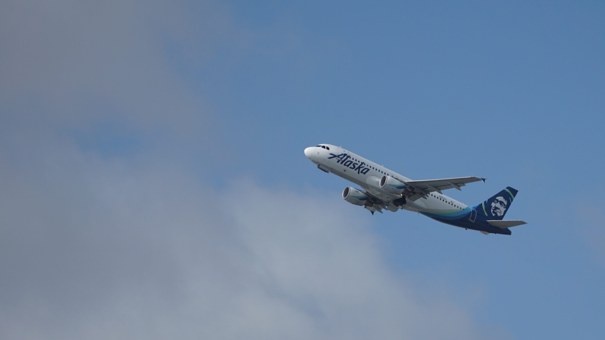 Sony 18-135mm F3.5-5.6 OSS APS-C E-Mount Zoom Lens customer photo 2