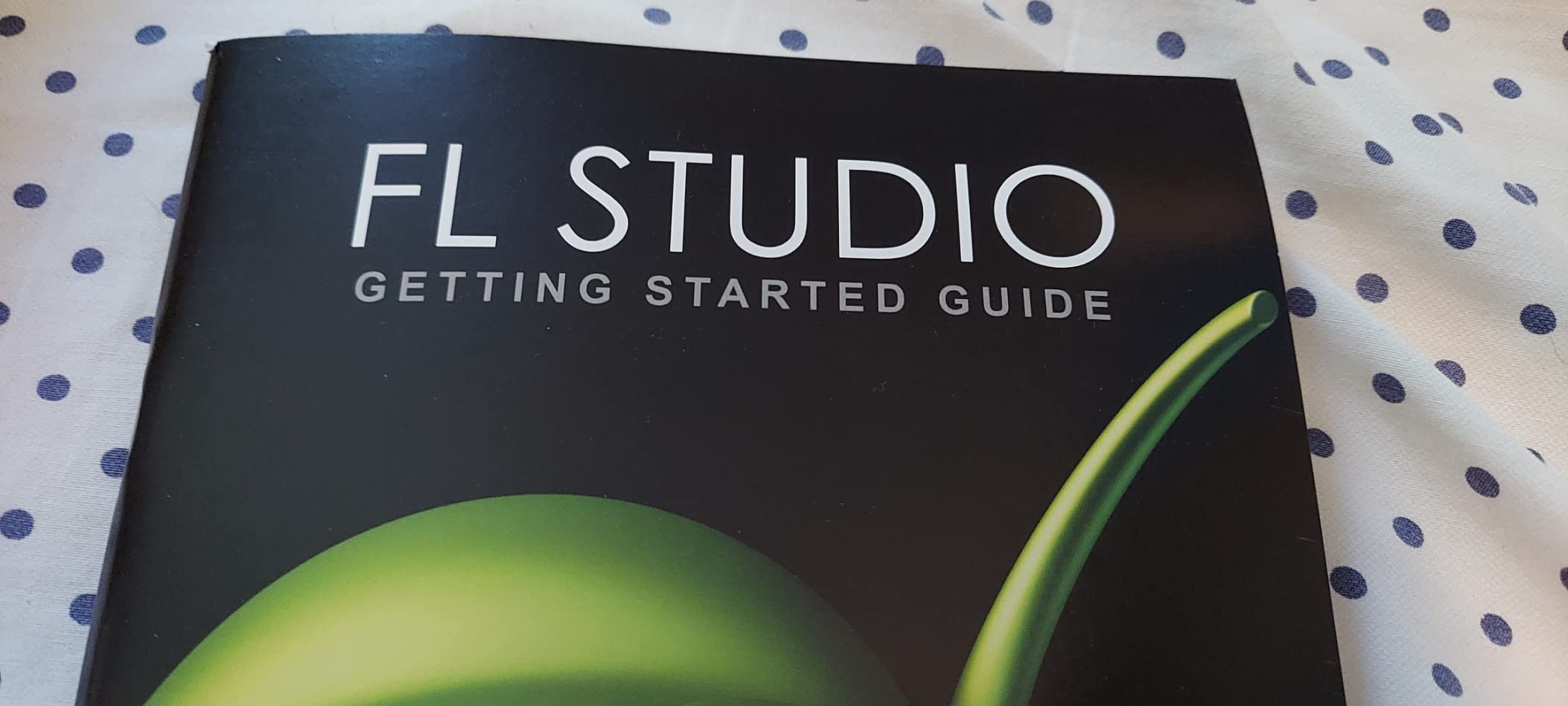 Image Line FL Studio 20 Producer Edition customer photo 1