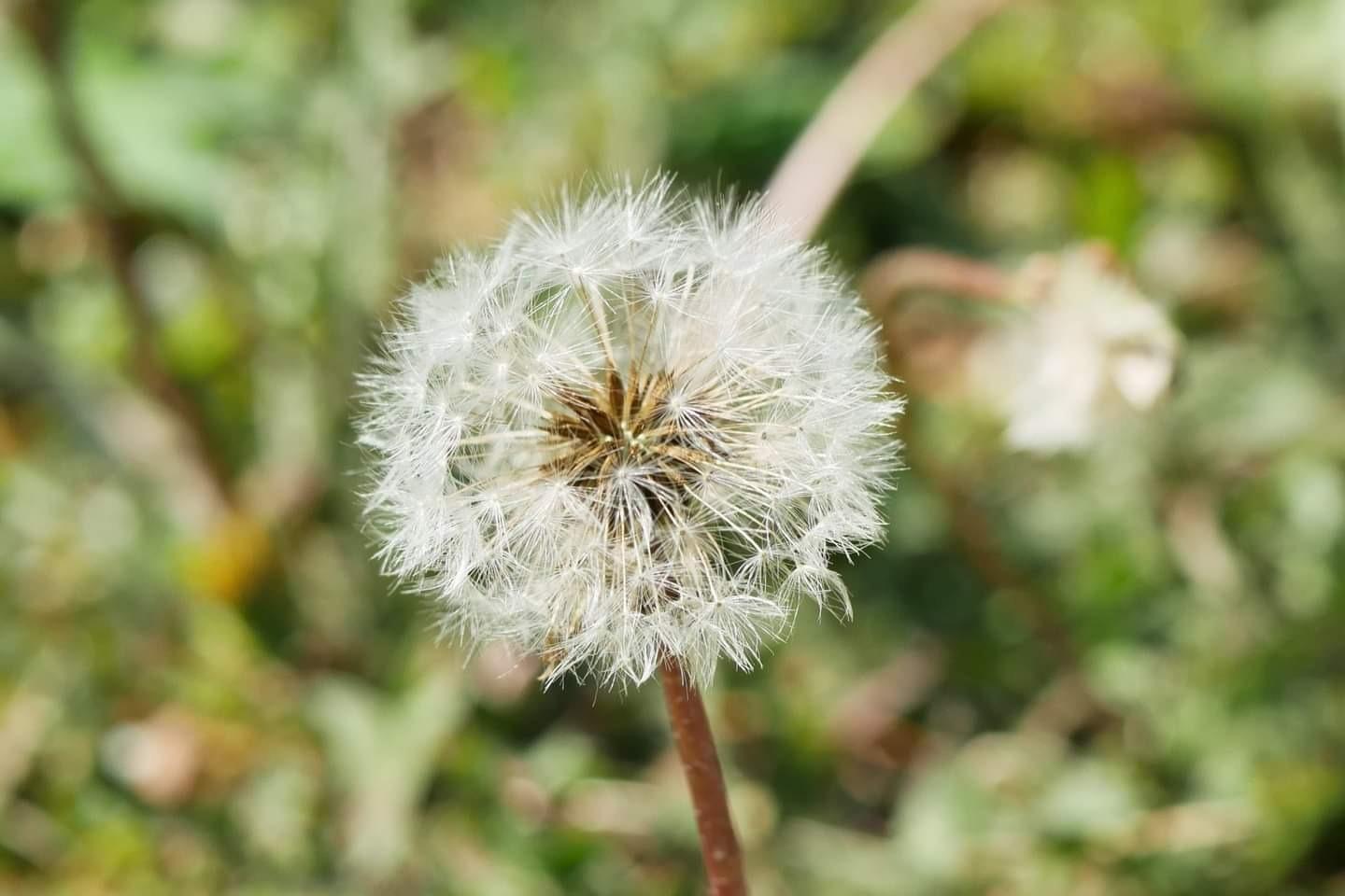 Hoya NXT Plus 67mm UV Filter - Schott B270 Clear Glass with 10-Layer HMC Multi-Coating for 98% Light Transmission, Waterproof Top-Coat, Aluminum Frame customer photo 2