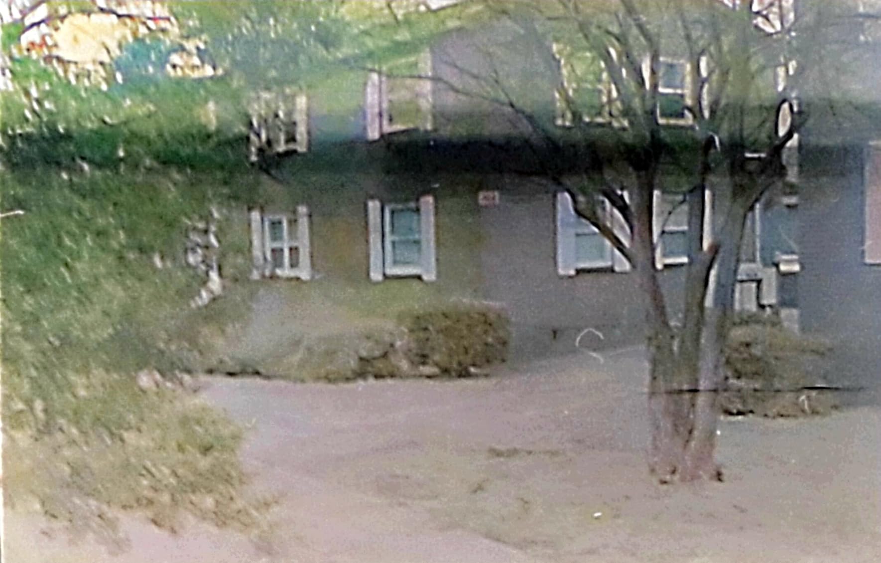 CineStill CS41 Liquid Developing Quart Kit for Processing C-41 Color Negative Film customer photo 1