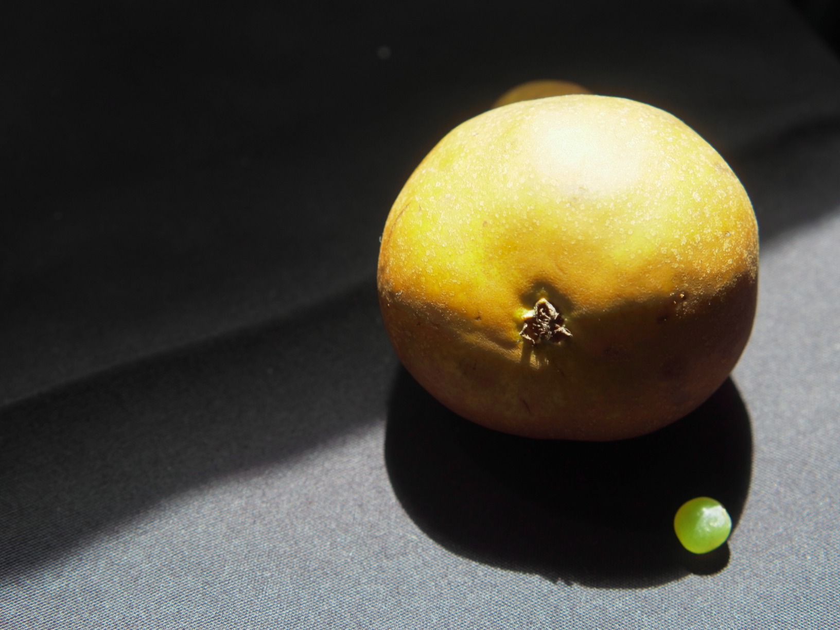 Insprinity Photography Idea Cards Original Deck - Unique Themes & Challenges for Photographers & Camera Lovers, Beginners & Pros, Men & Women - Cool Photography Accessory customer photo 1