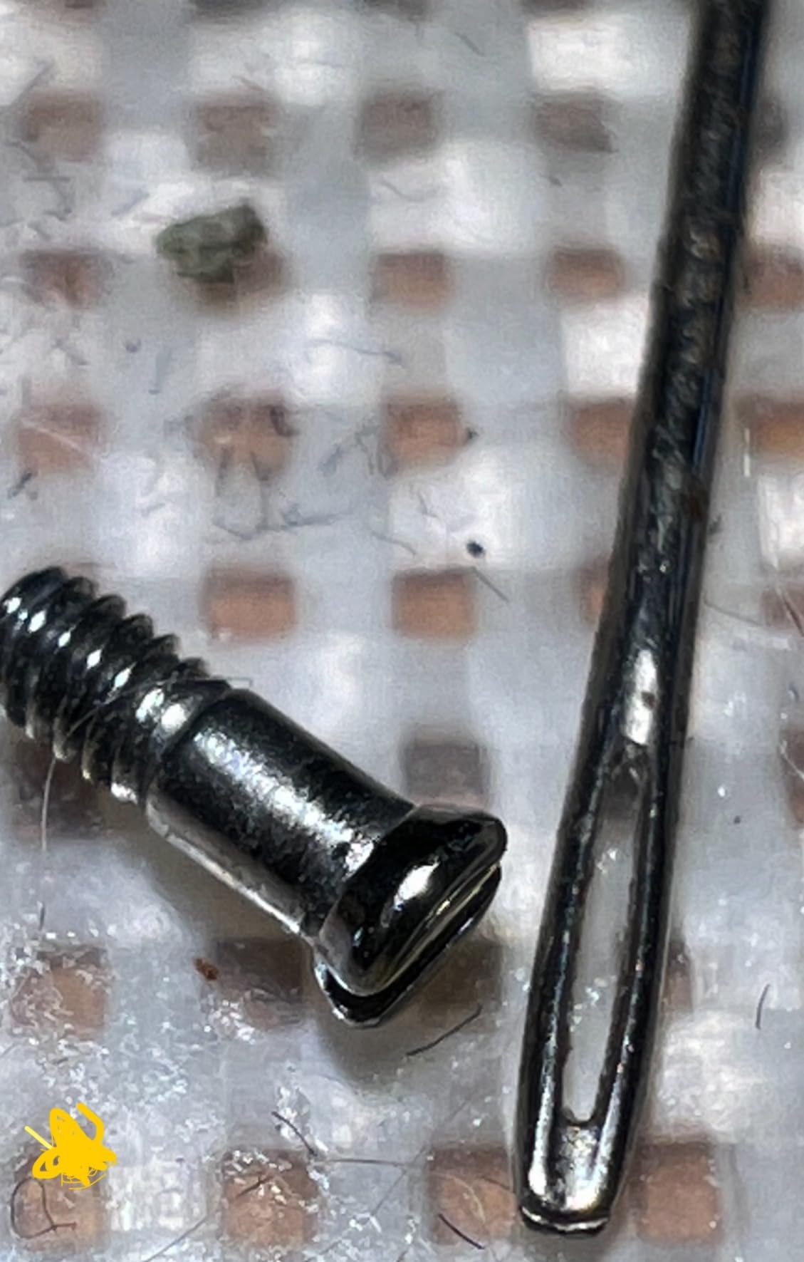 Wireless Digital Microscope, Skybasic 50X-1000X Magnification WiFi Portable Handheld Microscopes with Adjustable Stand HD USB Microscope Camera Compatible with iPhone Android iPad Windows Mac Computer customer photo 2