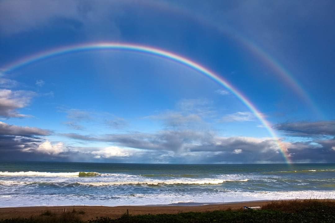 Canon EOS 5DS R Digital SLR with Low-Pass Filter Effect Cancellation (Body Only) (Renewed) customer photo 2