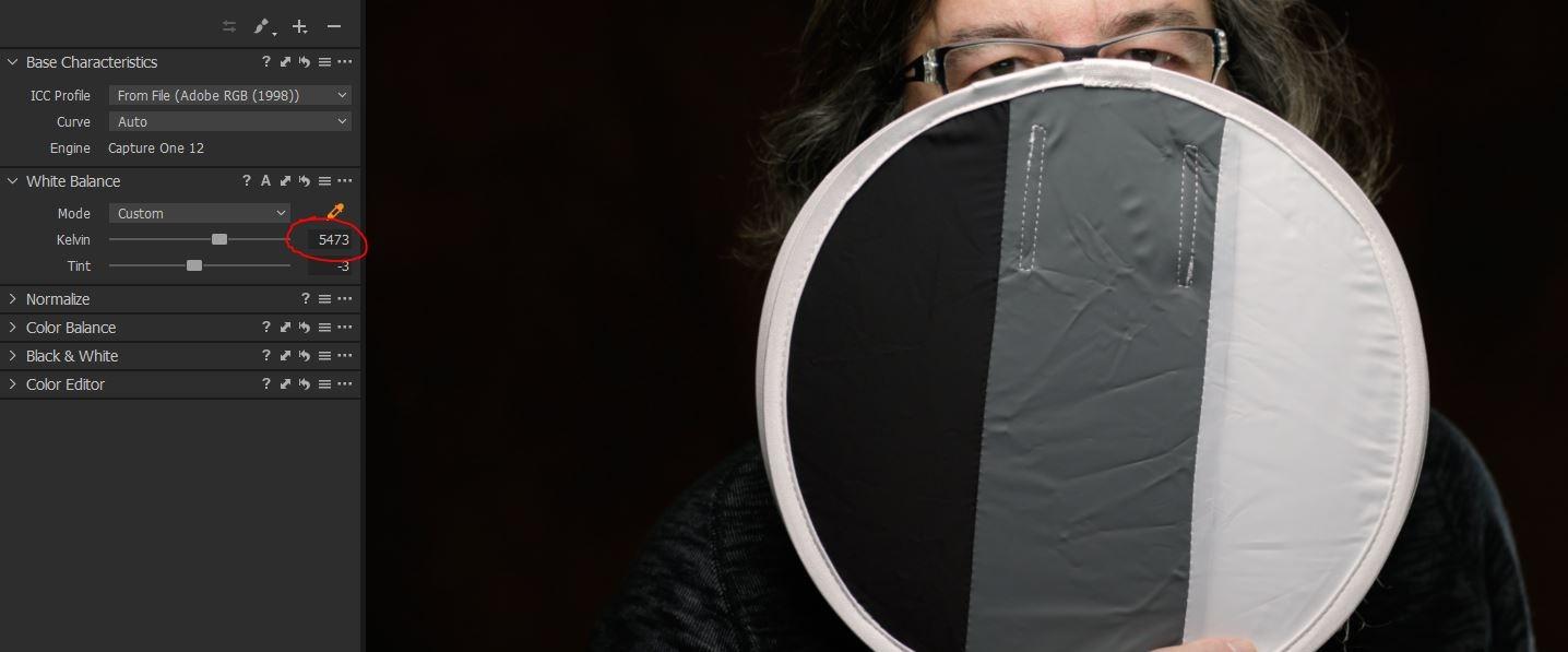 RALENO Softbox Lighting Kit, 20X28-Inch Softbox Photography Lighting with LED Bulbs(50W | 5500K | TLCI width=