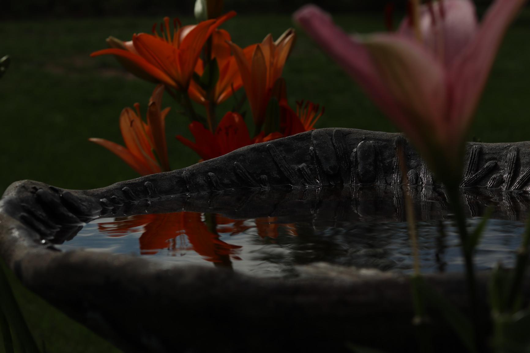 K&F CONCEPT 82mm Variable ND Filter ND2-ND32 Camera Lens Filter (1-5 Stops) No X Cross HD Neutral Density Filter with 28 Multi-Layer Coatings Waterproof (Nano-X Series) customer photo 1