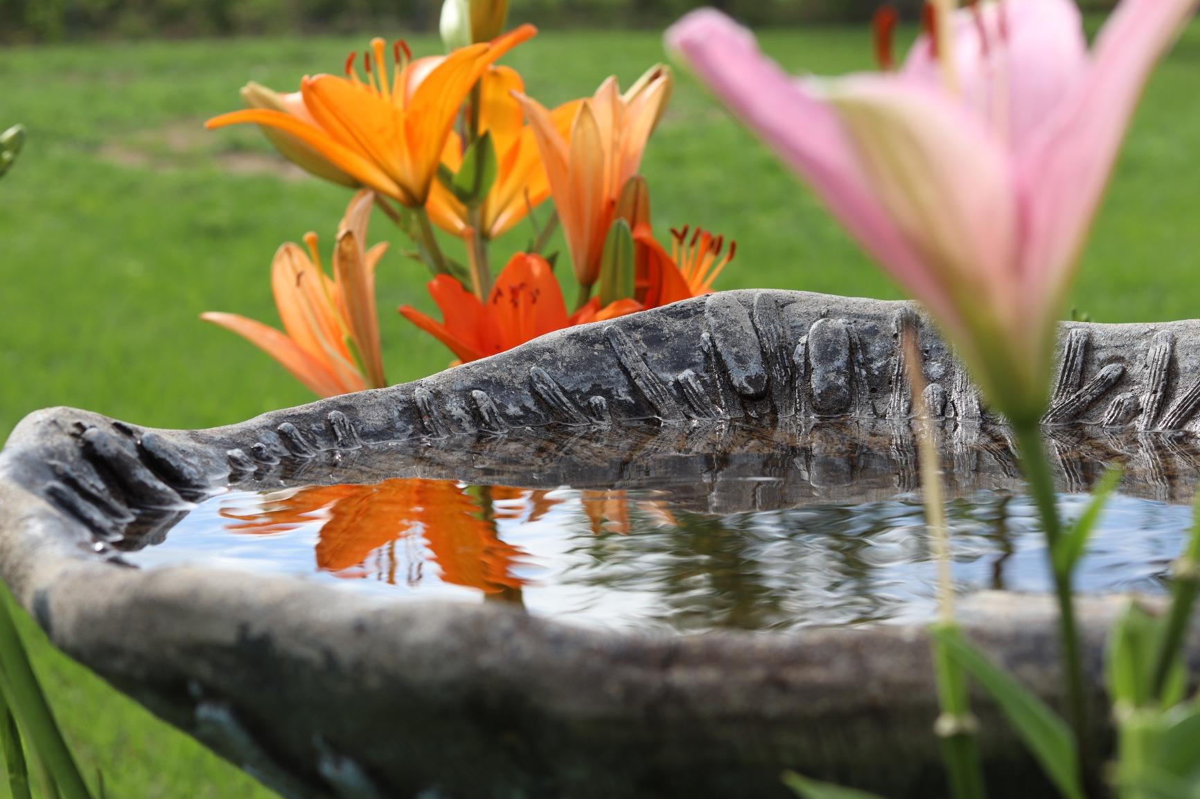 K&F CONCEPT 82mm Variable ND Filter ND2-ND32 Camera Lens Filter (1-5 Stops) No X Cross HD Neutral Density Filter with 28 Multi-Layer Coatings Waterproof (Nano-X Series) customer photo 2