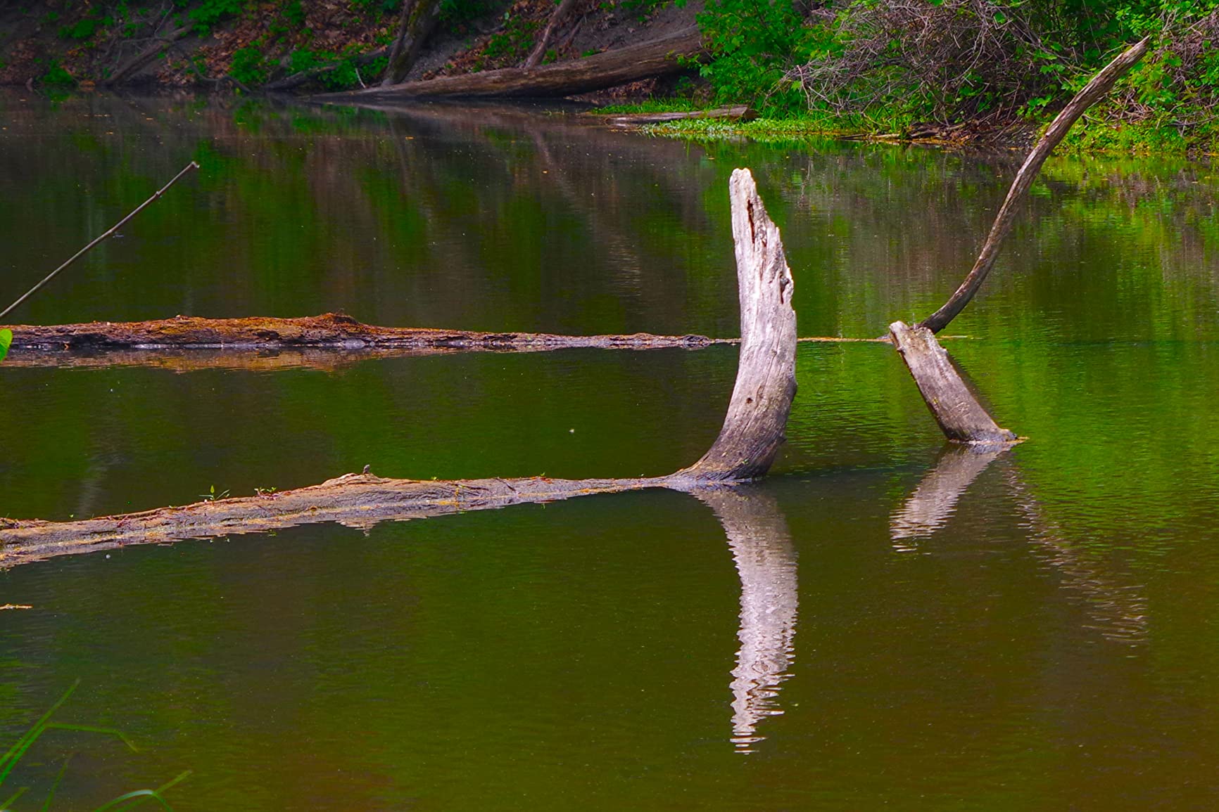 K&F Concept Metal Filter Holder + 8 Filter Adapter Rings (49/52/58/62/67/72/77/82mm) for Square Lens Filter customer photo 2