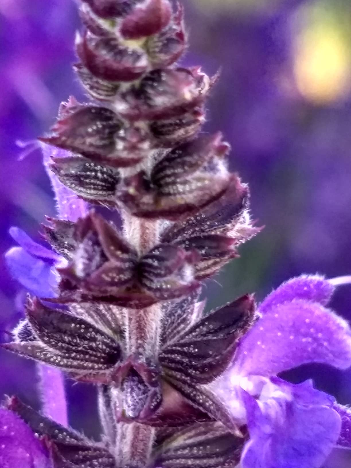 K&F Concept Metal Filter Holder + 8 Filter Adapter Rings (49/52/58/62/67/72/77/82mm) for Square Lens Filter customer photo 3