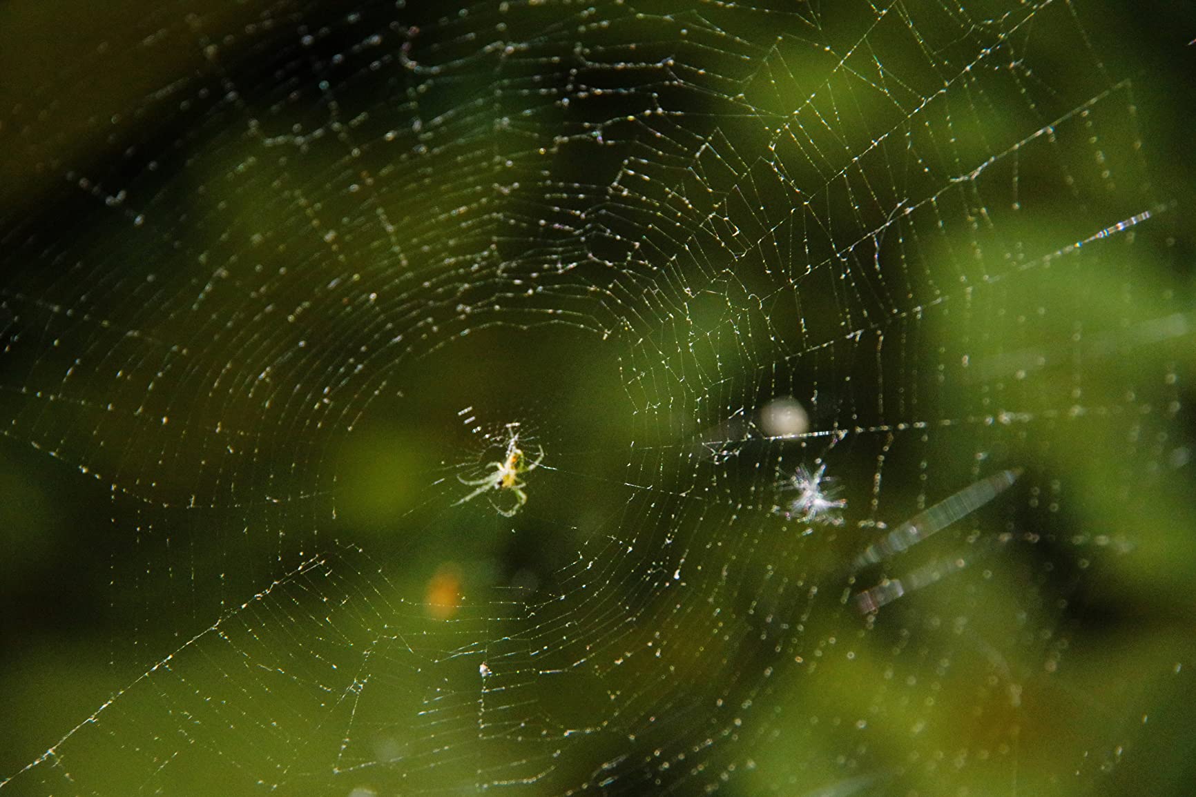 K&F Concept Metal Filter Holder + 8 Filter Adapter Rings (49/52/58/62/67/72/77/82mm) for Square Lens Filter customer photo 5