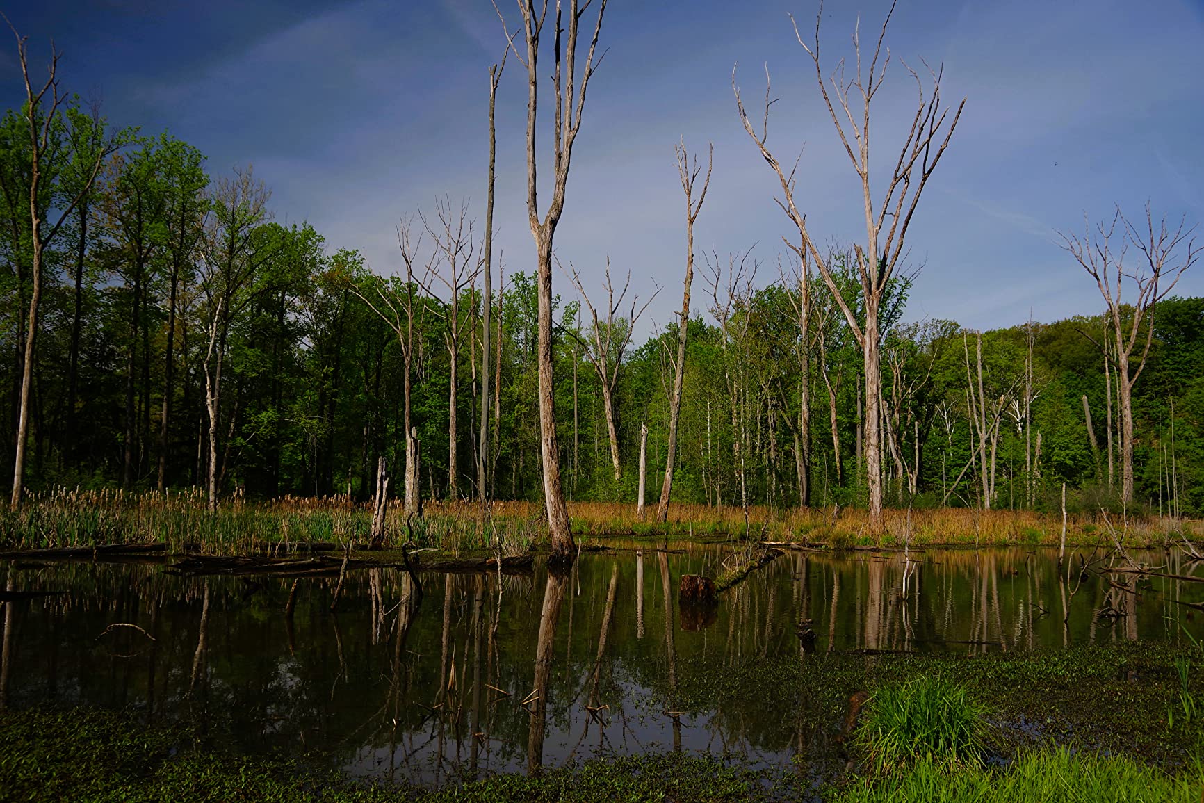 K&F Concept Metal Filter Holder + 8 Filter Adapter Rings (49/52/58/62/67/72/77/82mm) for Square Lens Filter customer photo 6