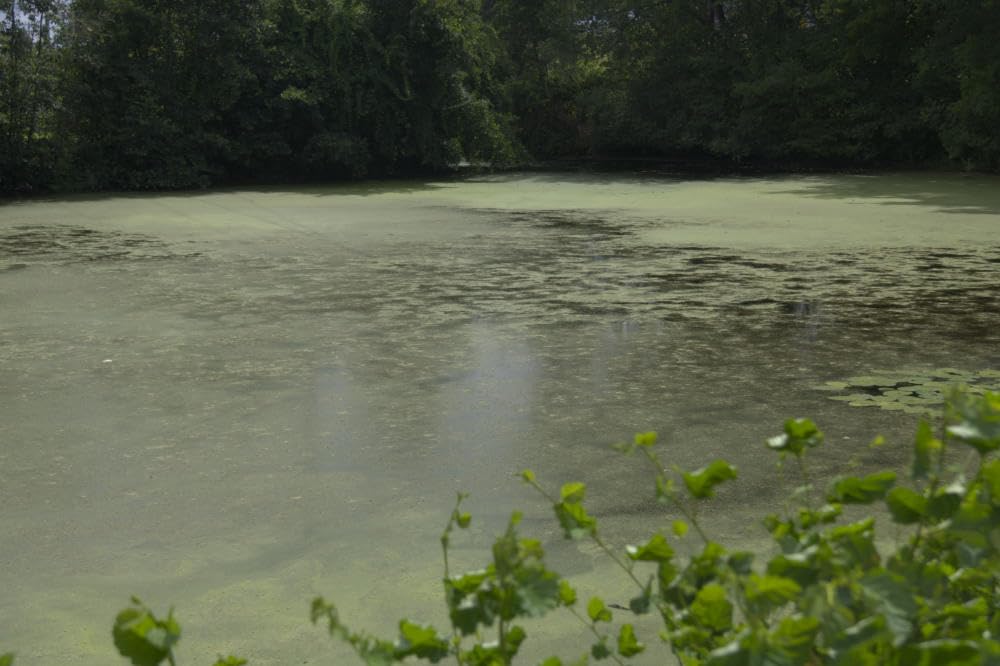 67mm Circular Polarizers Filter, K&F Concept 67MM Circular Polarizer Filter HD 28 Layer Super Slim Multi-Coated CPL Lens Filter (Nano-X Series) customer photo 1