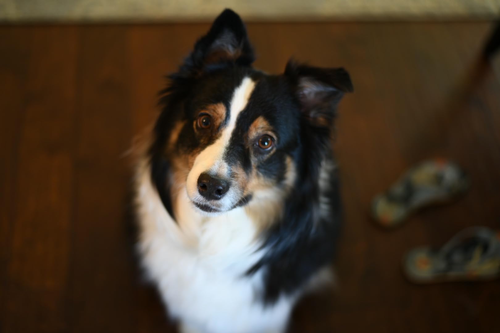 Nikon D850 FX-Format Digital SLR Camera Body (Renewed) customer photo 1