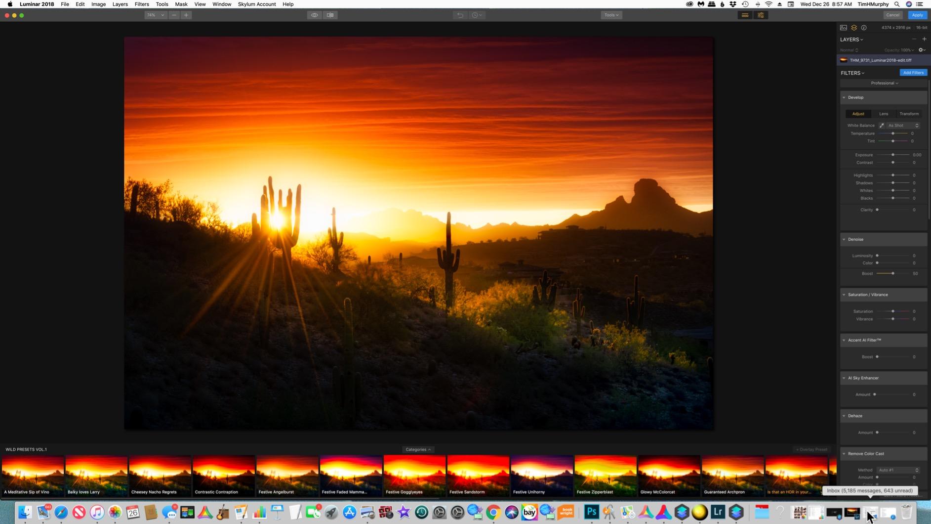 Luminar 3 Photo Editing Software | Professional Image Editing Software with an Easy to Use Interface and Image Libraries | for Mac or PC by Skylum Software customer photo 1