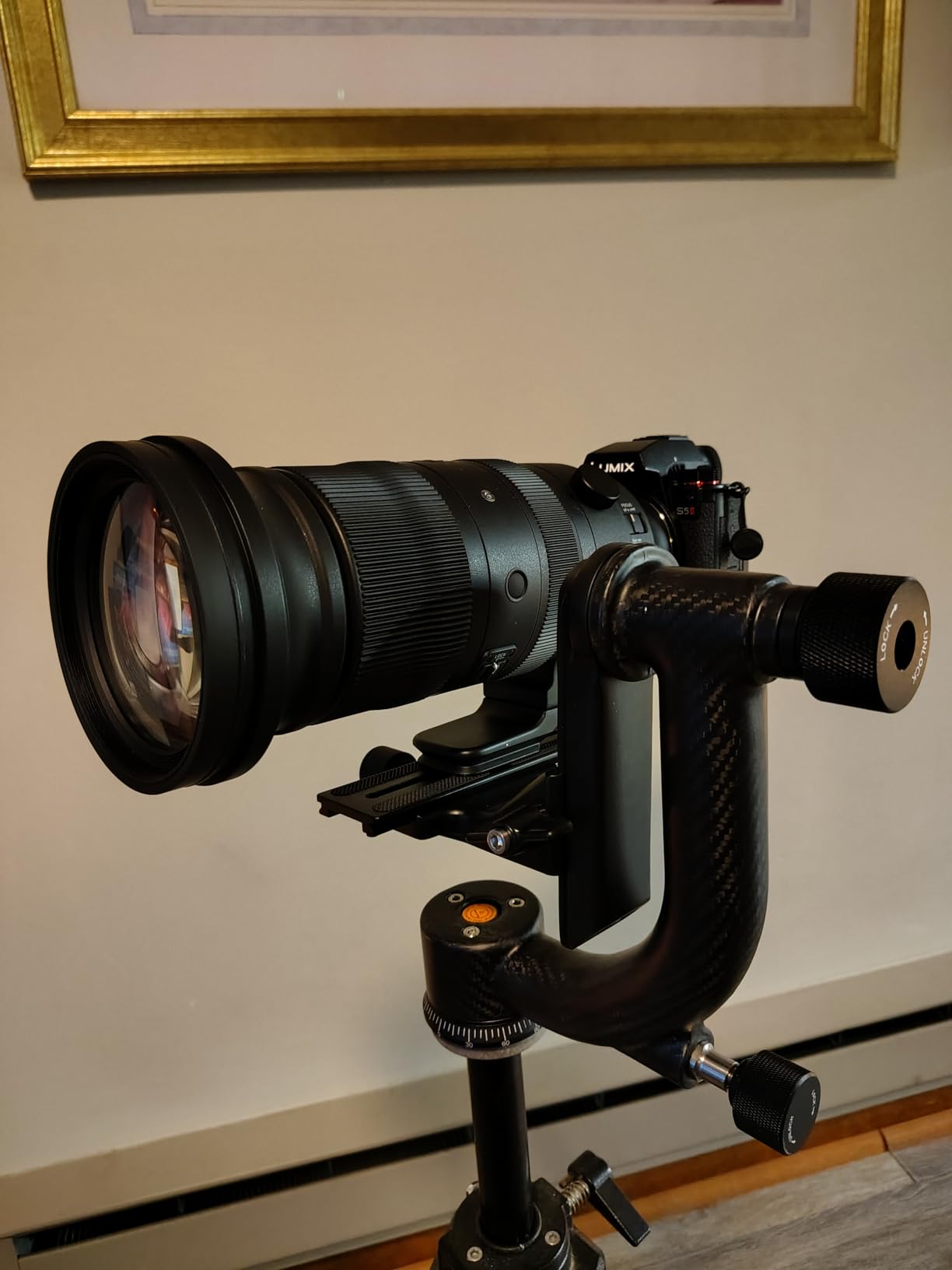 Movo GH800 MKII Carbon Fiber Professional Gimbal Tripod Head with Long and Short Arca-Swiss Quick-Release Plates - for Outdoor Bird/Wildlife Photography customer photo 1