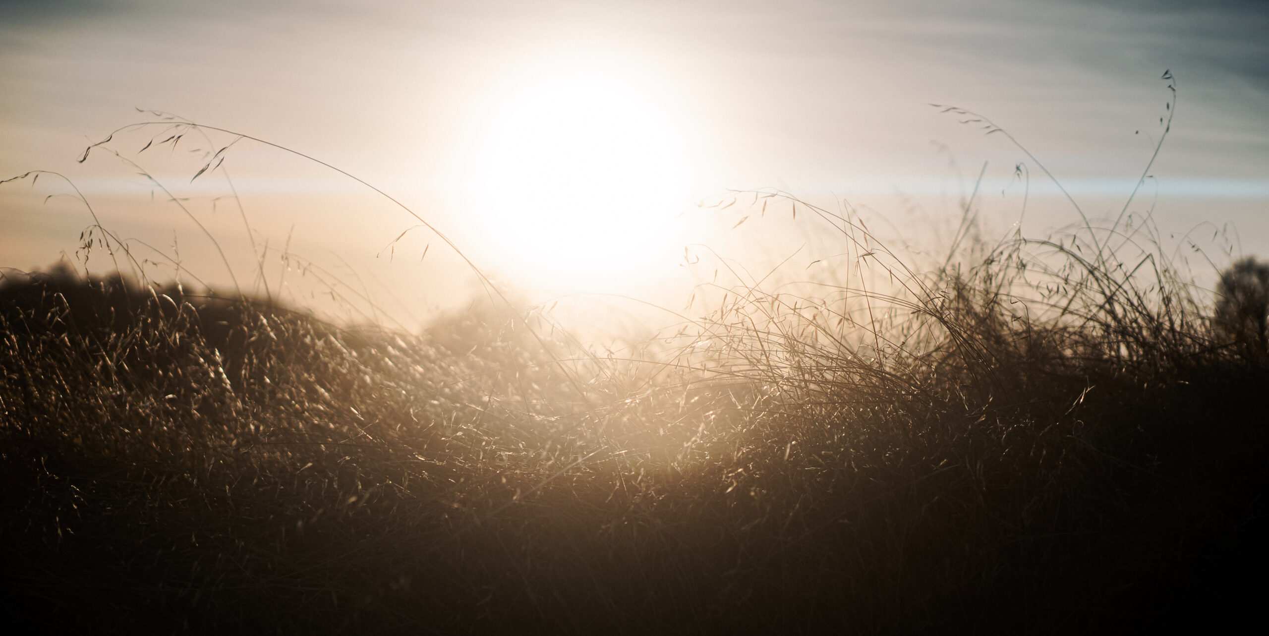 SIRUI 50mm F1.8 1.33X S35 Anamorphic Lens for RF Mount, Blue Flare customer photo 2