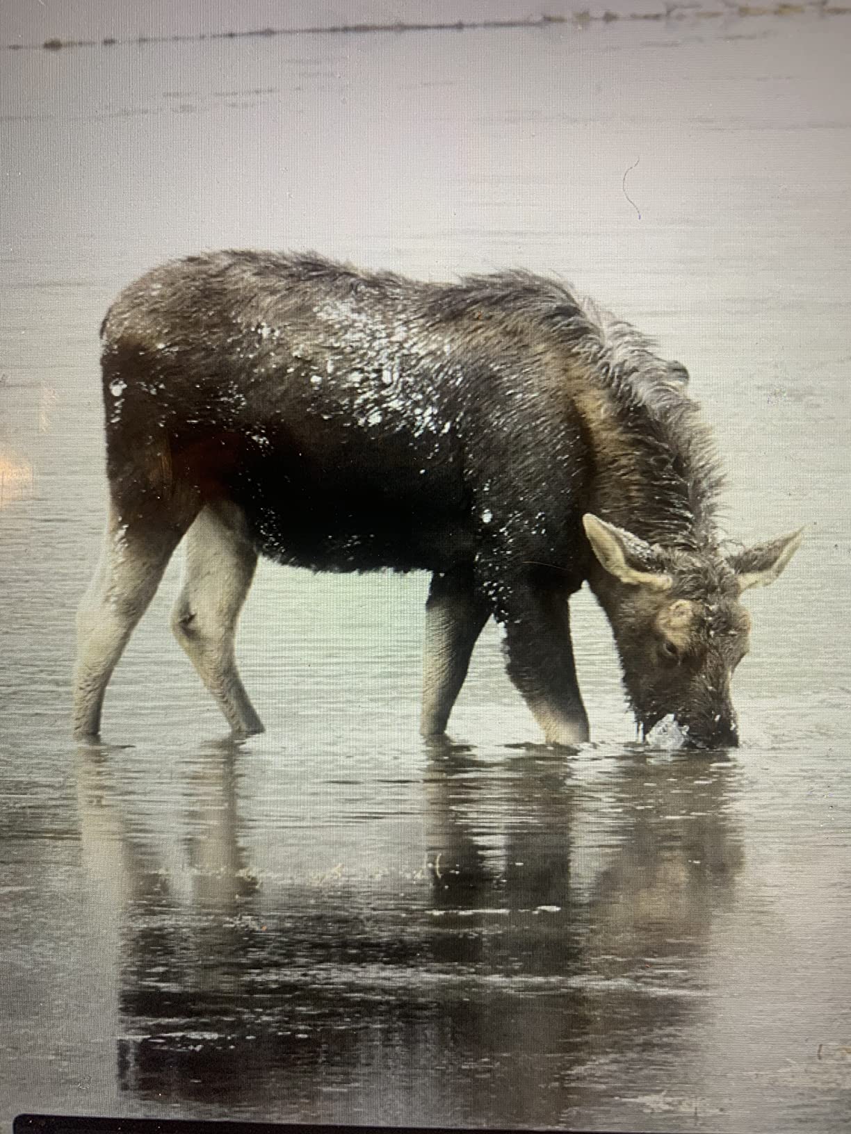 D850 DSLR Camera - Bundle With 64GB SDXC U3 Card, Camera Case, Spare Battery, Cleaning Kit, Memory Wallet, Card Reader, Glass Screen Protector, PC Software Package customer photo 2