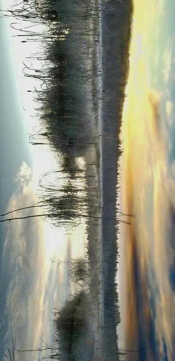 D850 45.7MP Full-Frame FX-Format Digital SLR Camera Bundle with 64GB Memory Card, Photo and Video Professional Editing Suite customer photo 1