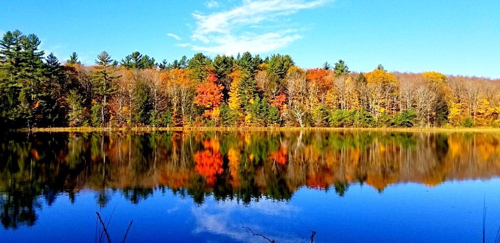 D850 45.7MP Full-Frame FX-Format Digital SLR Camera Bundle with 64GB Memory Card, Photo and Video Professional Editing Suite customer photo 2