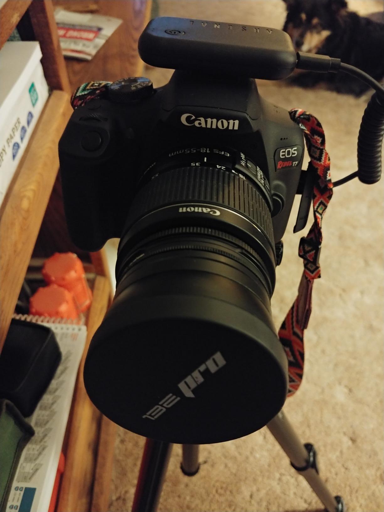 Canon EOS Rebel T7 DSLR Camera with EF 18-55mm with EF 75-300mm Double Zoom Kit Bundle with 500mm Preset Telephoto Lens, 32GB Memory Card, Tripod, Paintshop Pro and Accessories (10 Items) customer photo 2