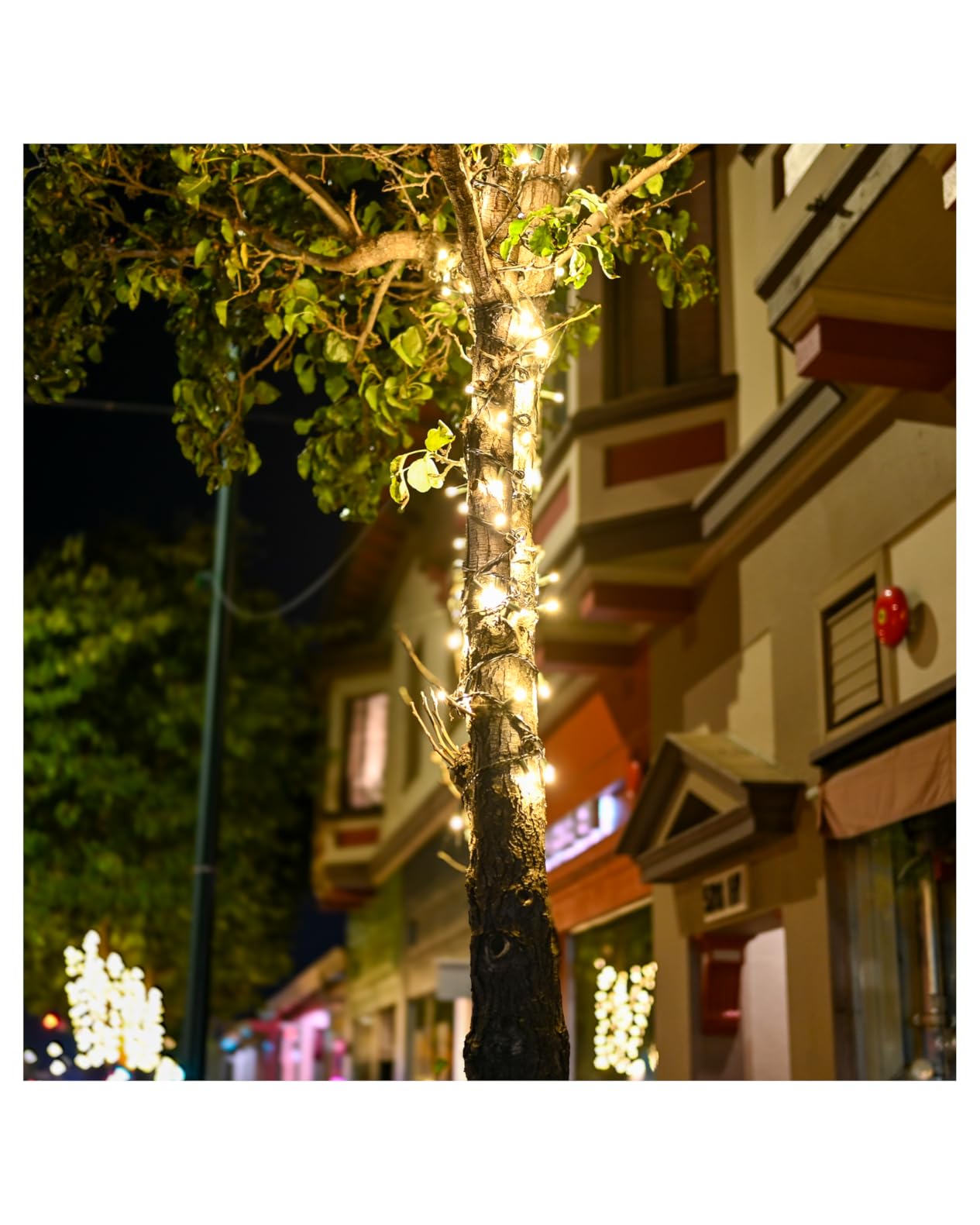 Nikon Z6 FX-Format Mirrorless Camera Body (Renewed) customer photo 1