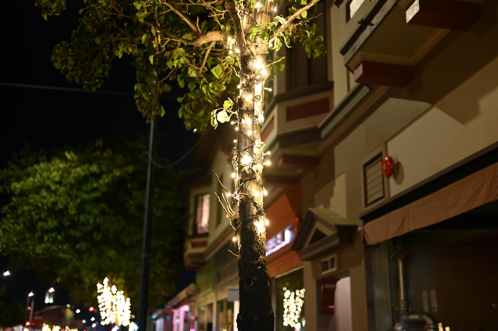 Nikon Z6 FX-Format Mirrorless Camera Body (Renewed) customer photo 2