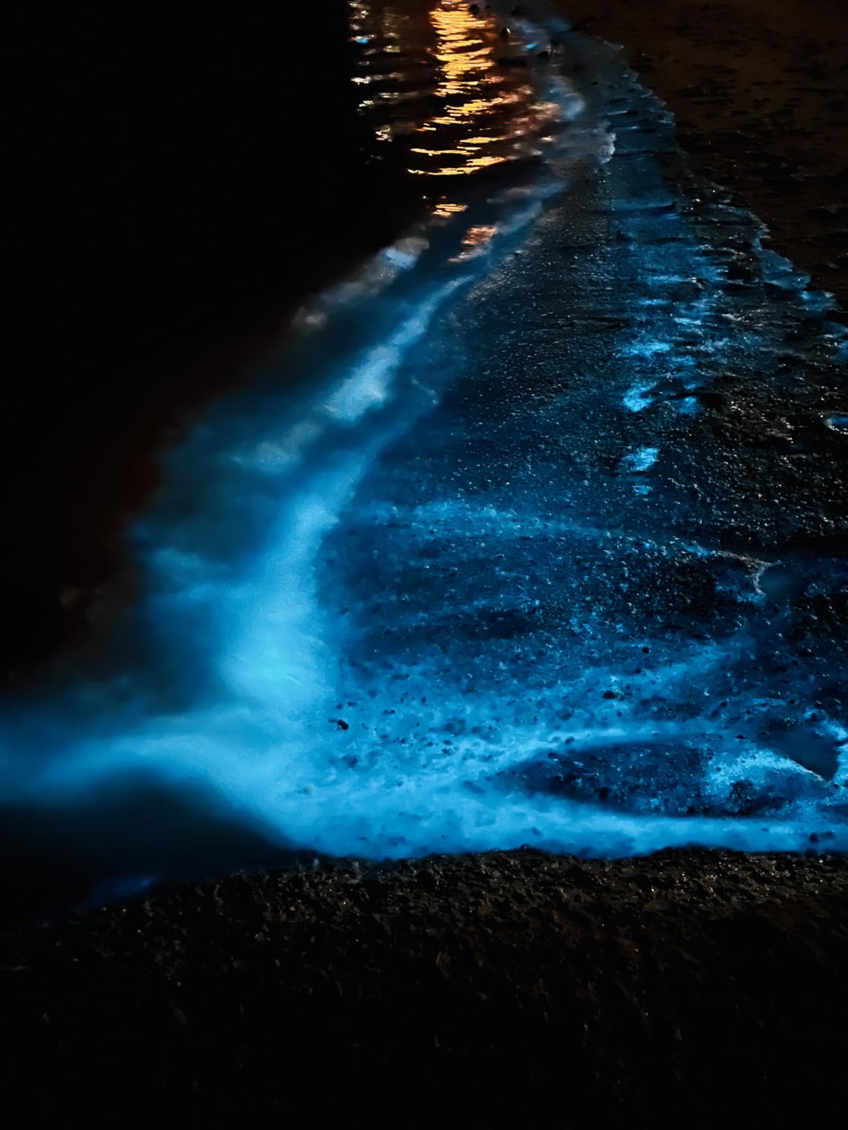 Smile Art Design Premium Custom Metal Personalized Wall Decor - HD Glossy Rigid Aluminum Panel, Put Your Photo on Metal, Ready to Hang customer photo 1