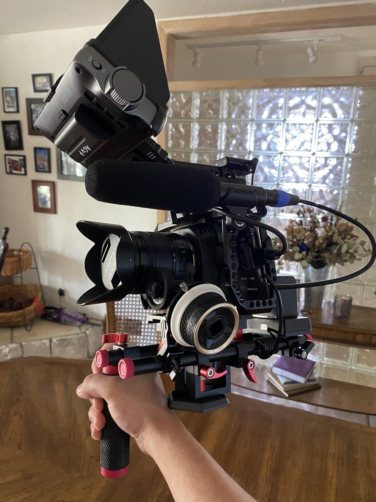 Lumix G Vario 14-140mm Telephoto Zoom Lens with F3.5-5.6 II ASPH, Mirrorless Micro Four Thirds Mount and Power O.I.S. - H-FSA14140 (Upgraded USA Black) customer photo 1