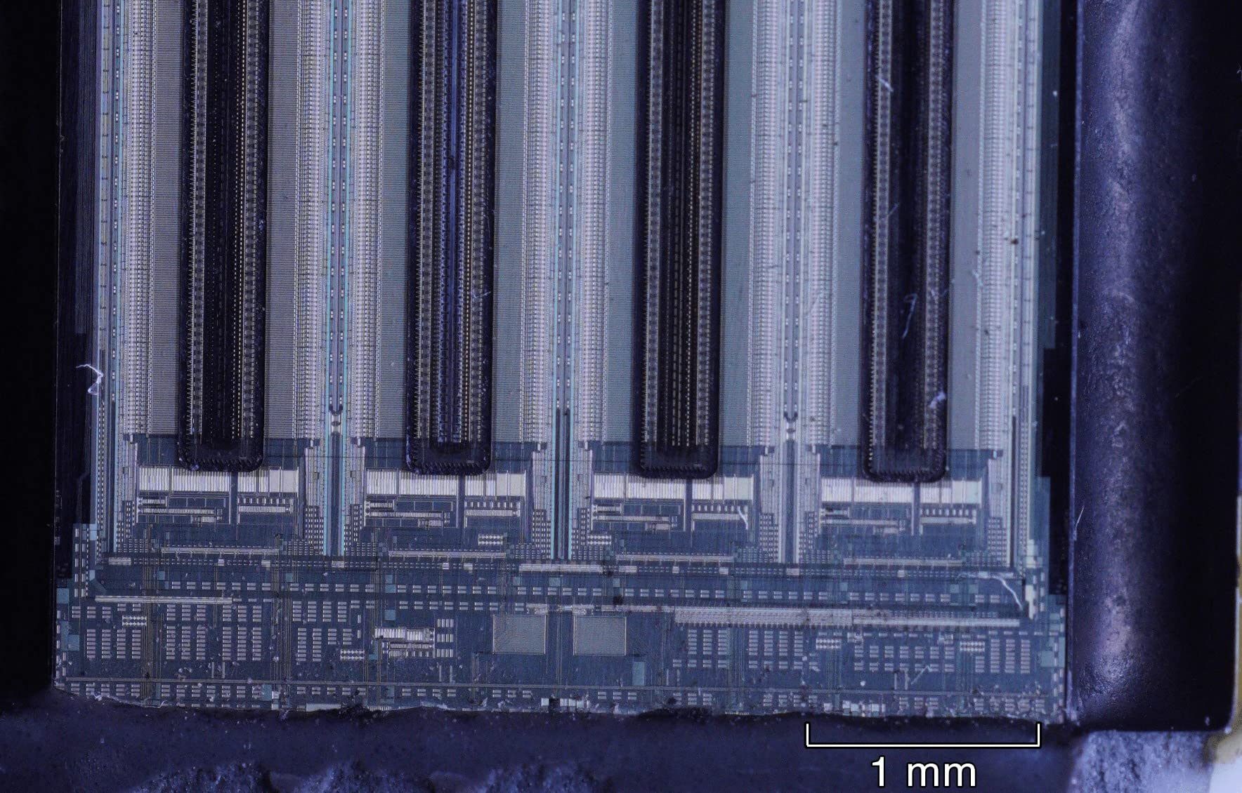 60mm F2.8 II V2.0 APS-C Format Macro Lens for Sony E-Mount Cameras customer photo 1