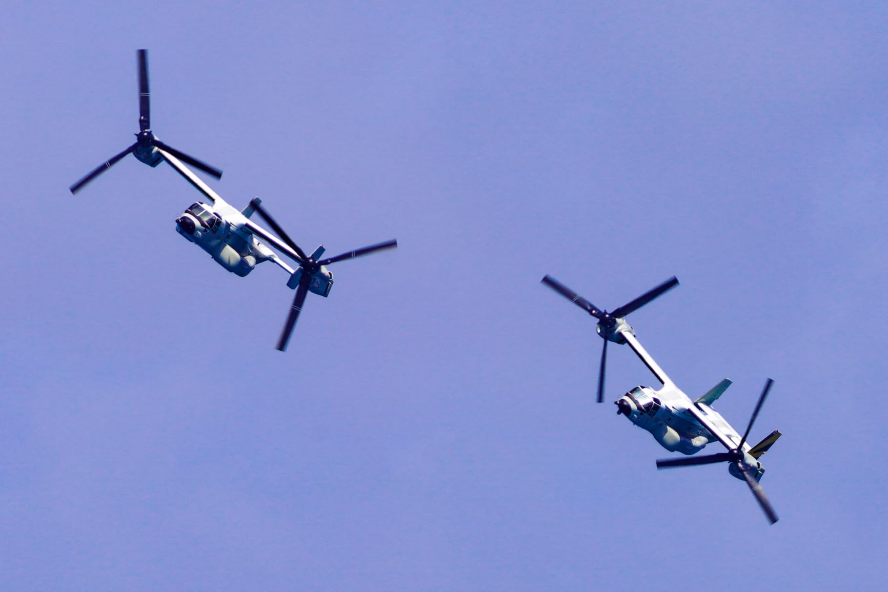 Sony FE 200-600mm f/5.6-6.3 G OSS Super Telephoto Zoom Lens customer photo 1