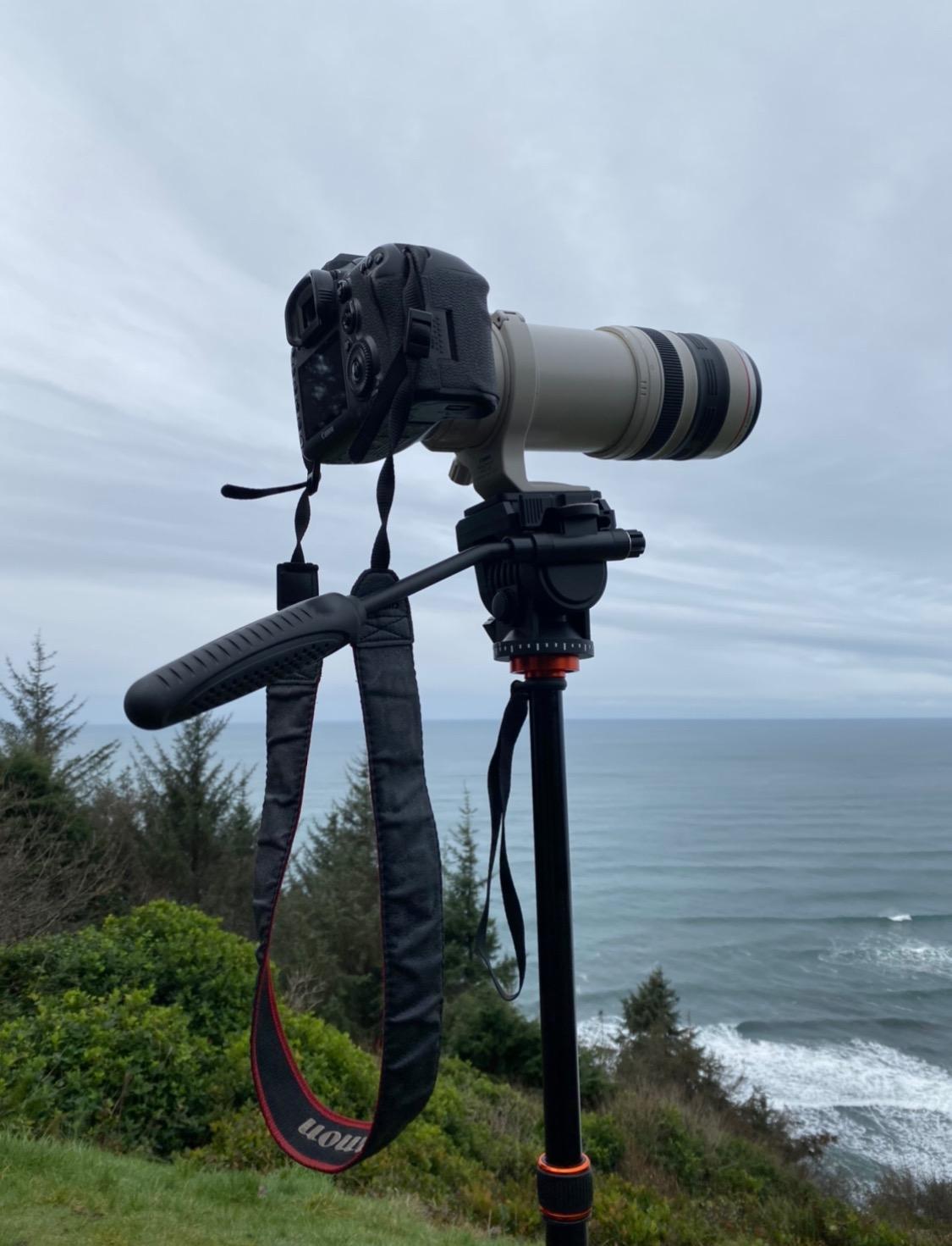 GEEKOTO Video Tripod Fluid Head,Professional Camera Tripod for DSLR,Monopod Aluminum 77