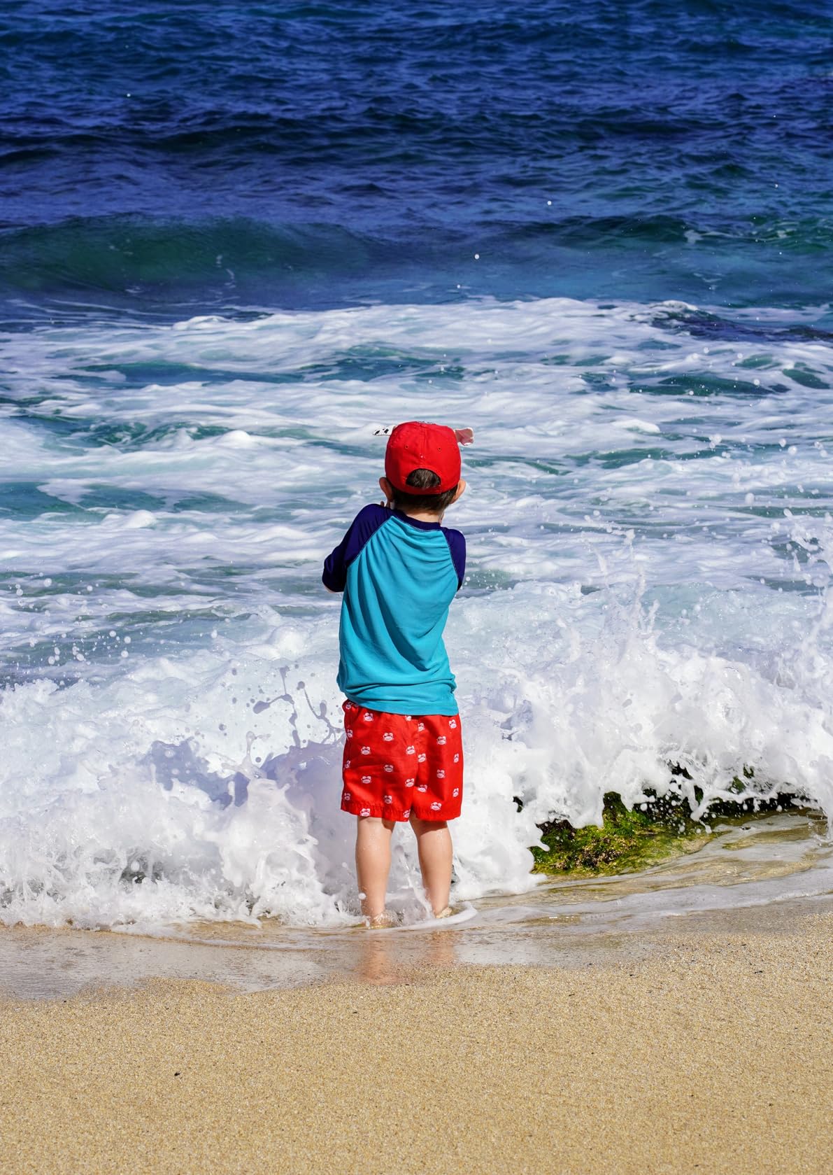 Sony SEL85F18 85mm F/1.8-22 Medium-Telephoto Fixed Prime Camera Lens, Black customer photo 1