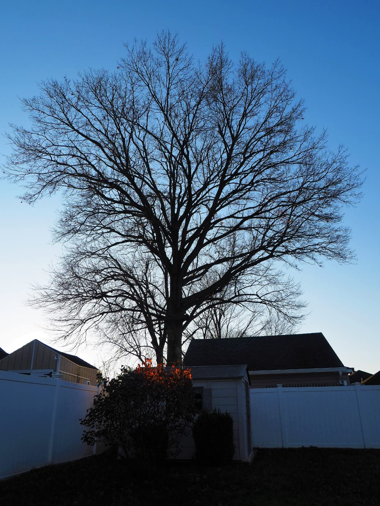 OM SYSTEM Olympus OM-D E-M5 Mark III Body Black customer photo 2