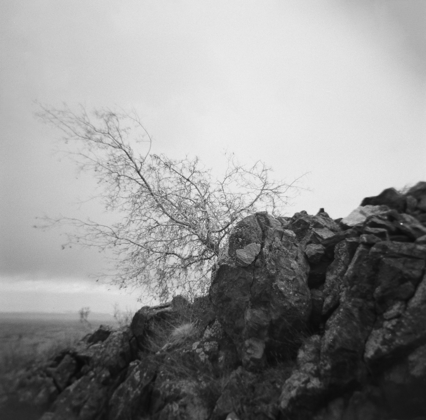 Holga 120N Medium Format Film Camera (Black) with Ilford HP5 120 Film Bundle and Microfiber Cloth customer photo 2