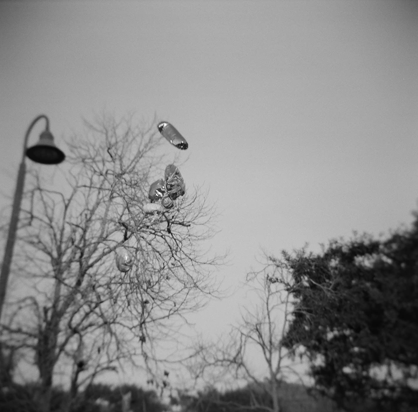 Holga 120GCFN Medium Format Film Camera with Ilford HP5 Plus Black and White Negative Film (120 Roll Film) Bundle customer photo 2