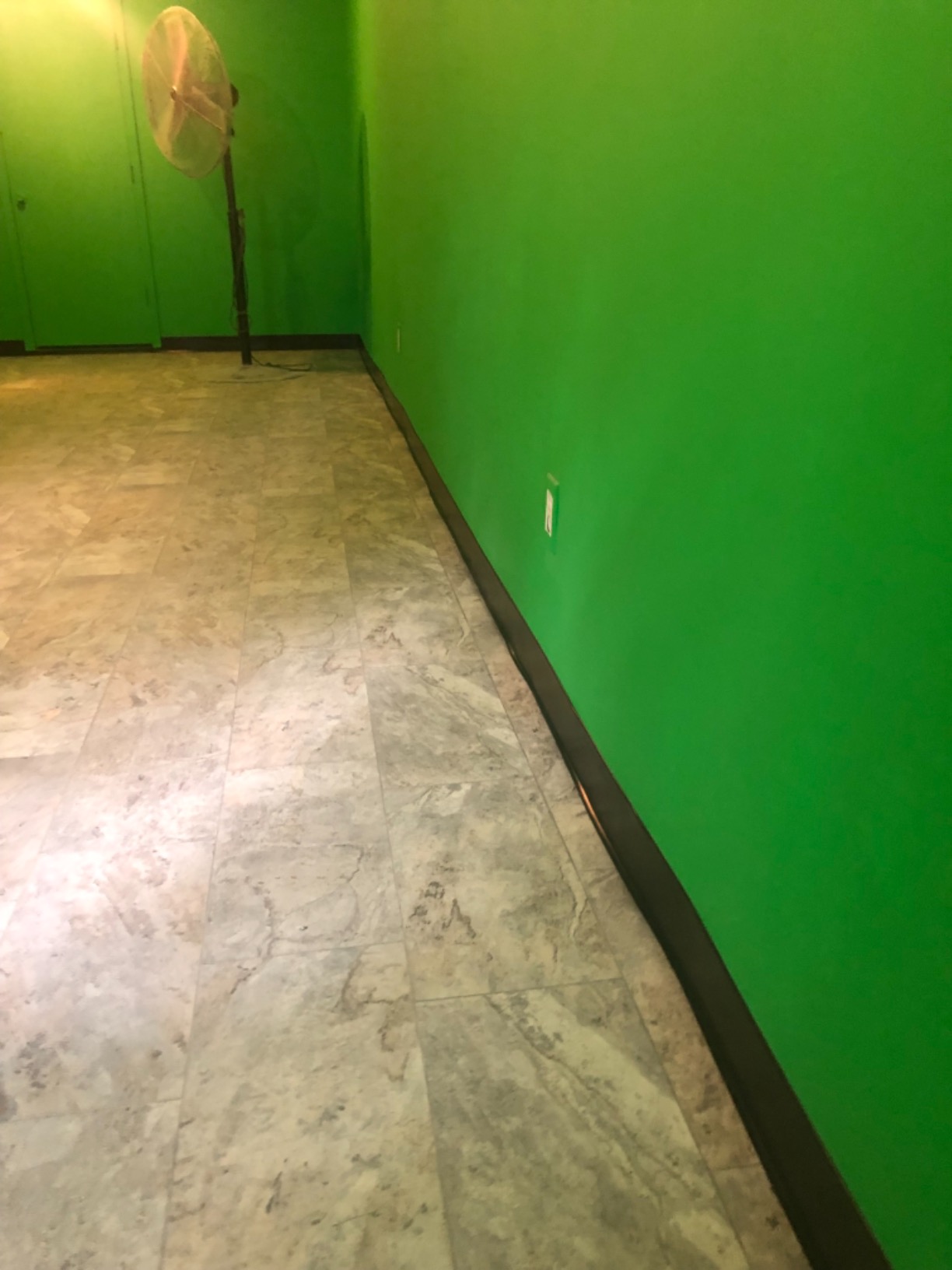 ChromaKey Green Paint for HD Video with 8K Primer 1 Gallon Green Screen Equivalent customer photo 1