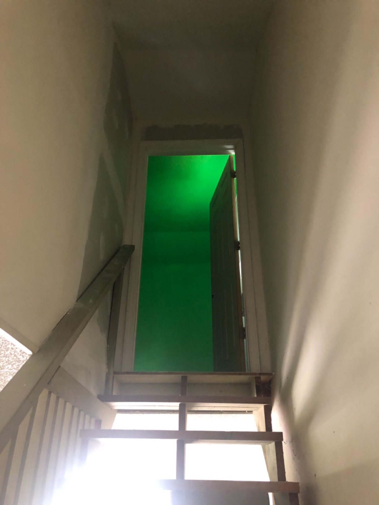 ChromaKey Green Paint for HD Video with 8K Primer 1 Gallon Green Screen Equivalent customer photo 2