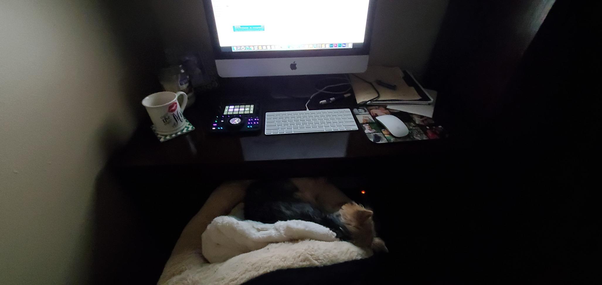 Loupedeck Creative Tool - Professional Custom Editing Console for Photo, Video, Music and Design customer photo 2