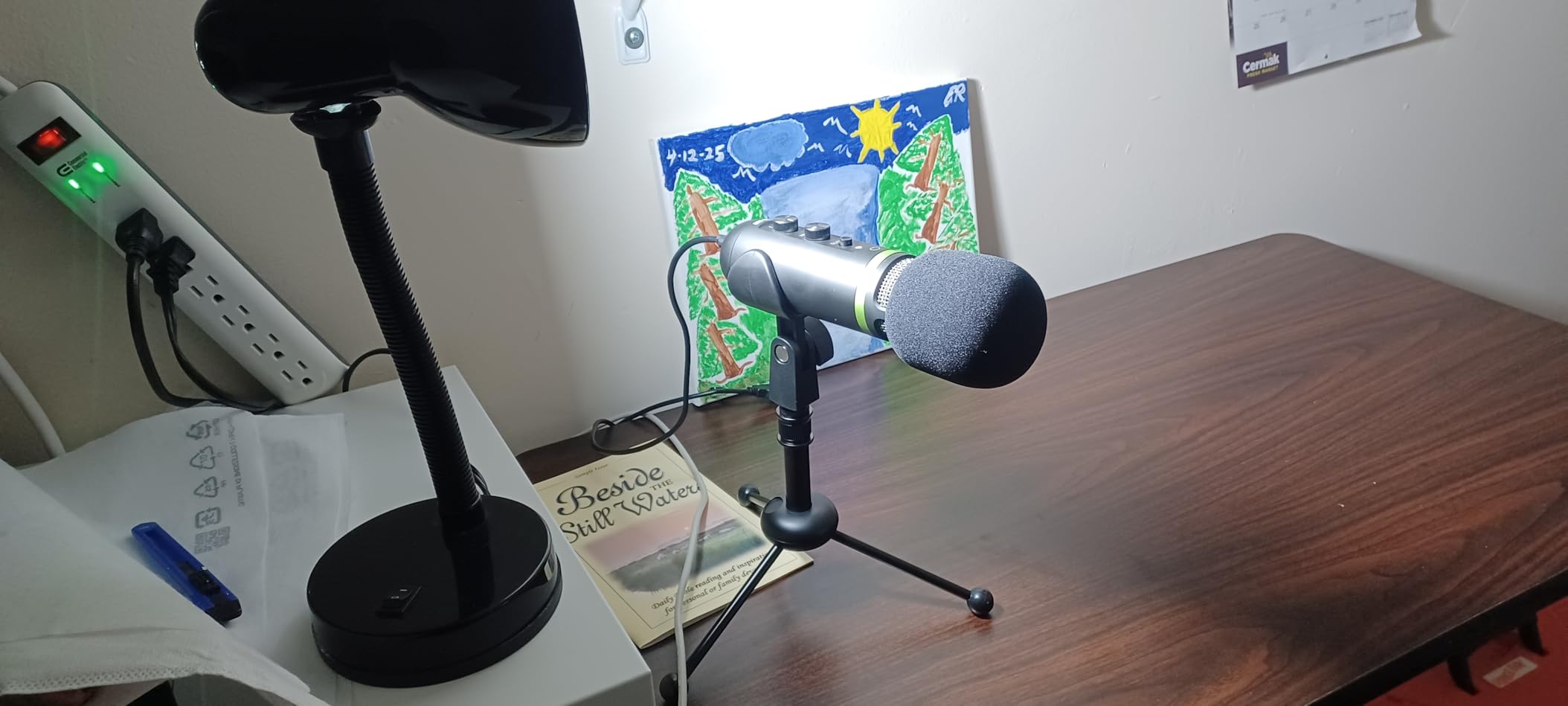 Mackie EM-Series, Large-Diaphragm Condenser Microphone (EM-91C) customer photo 2